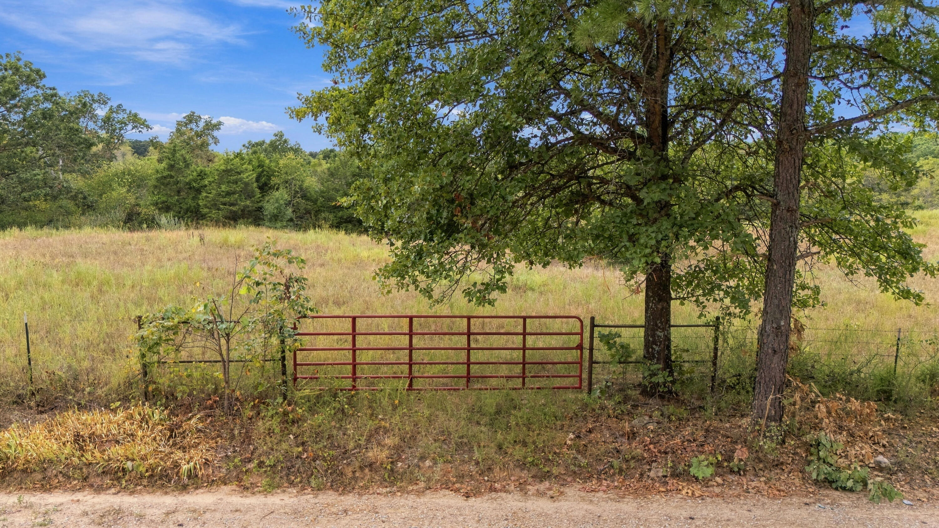3953 County Road 4990 Property Photo 20