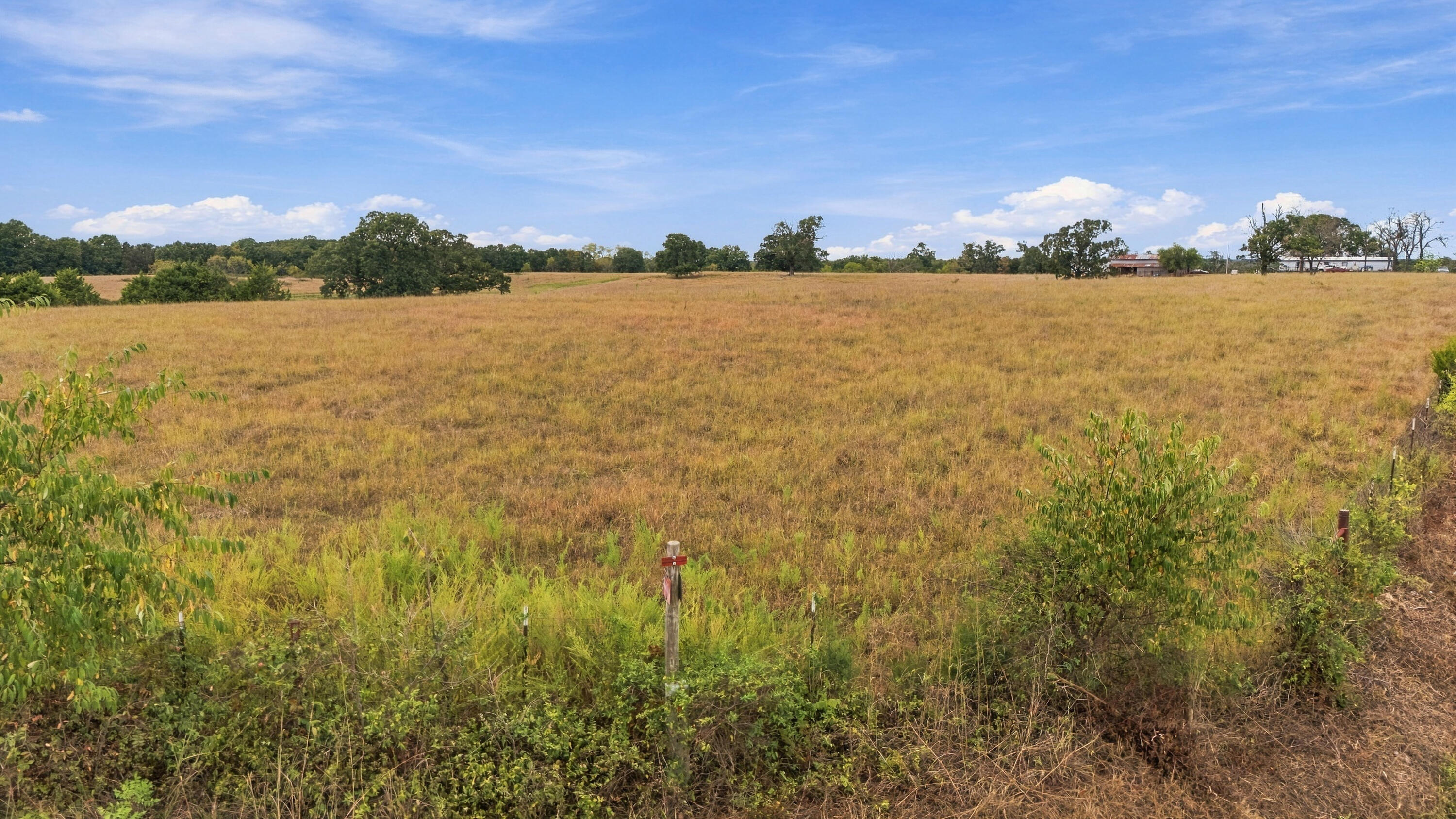 3953 County Road 4990 Property Photo 26