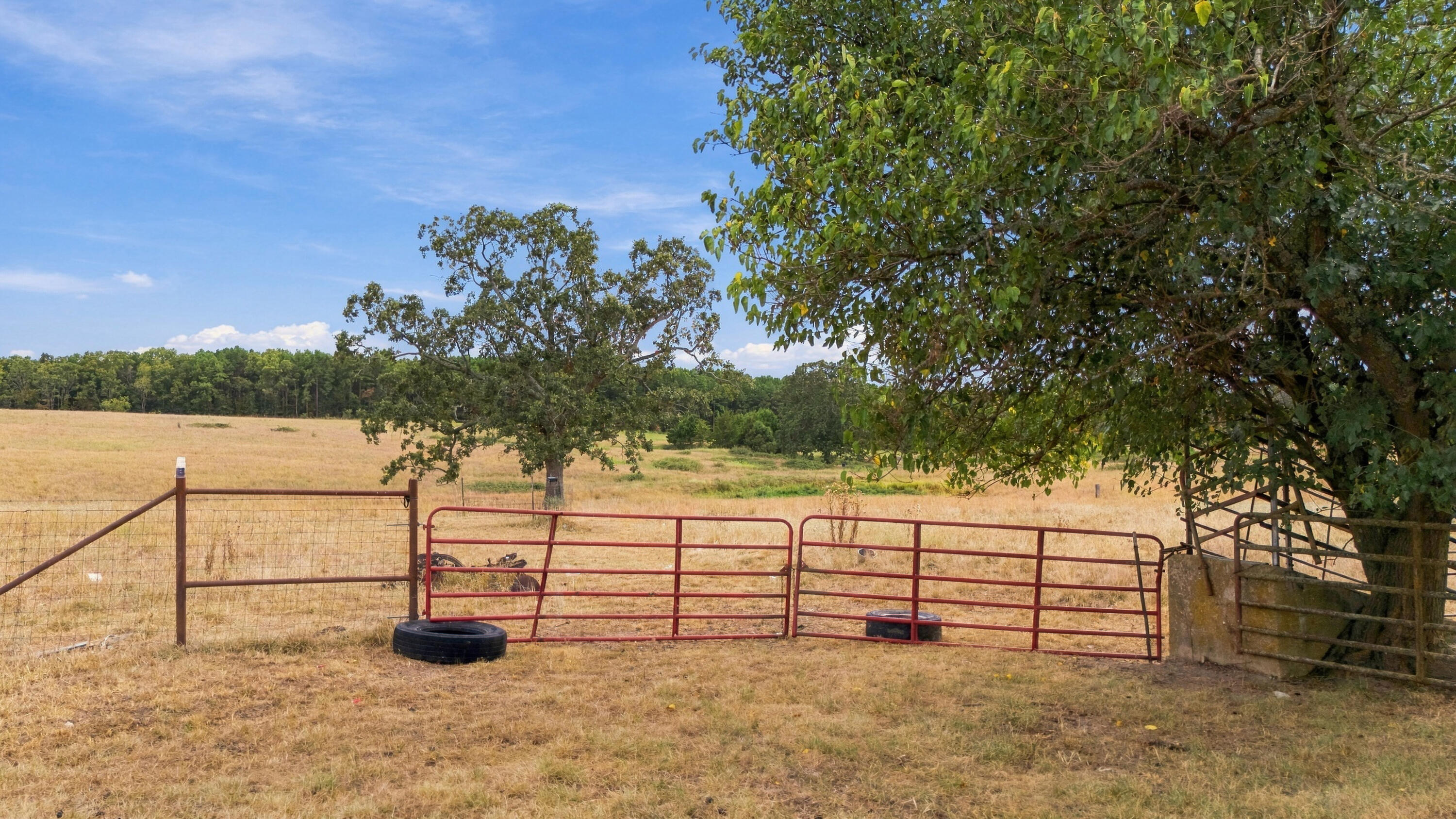 3953 County Road 4990 Property Photo 34