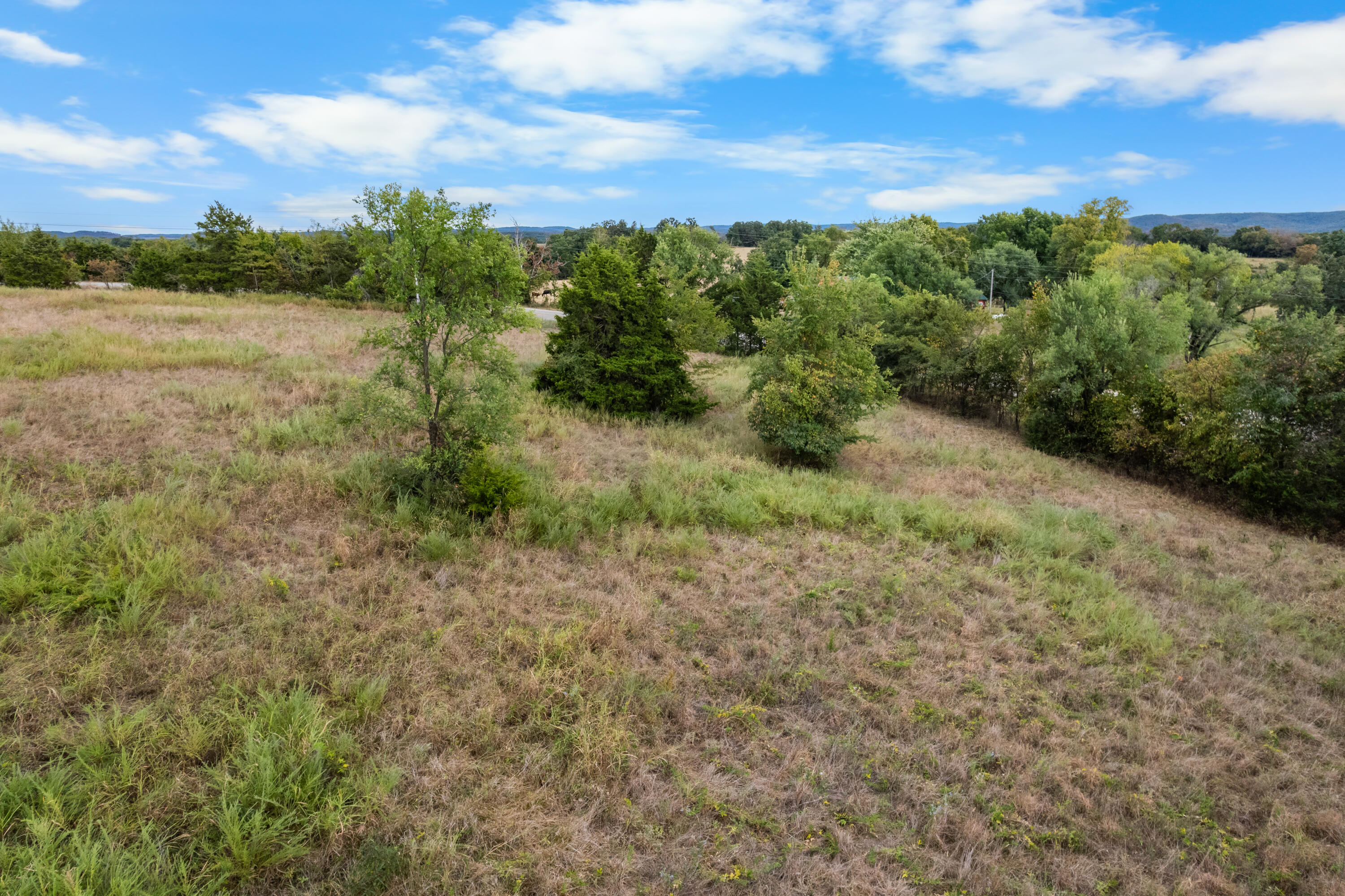 3201 State Highway Dd Property Photo 49