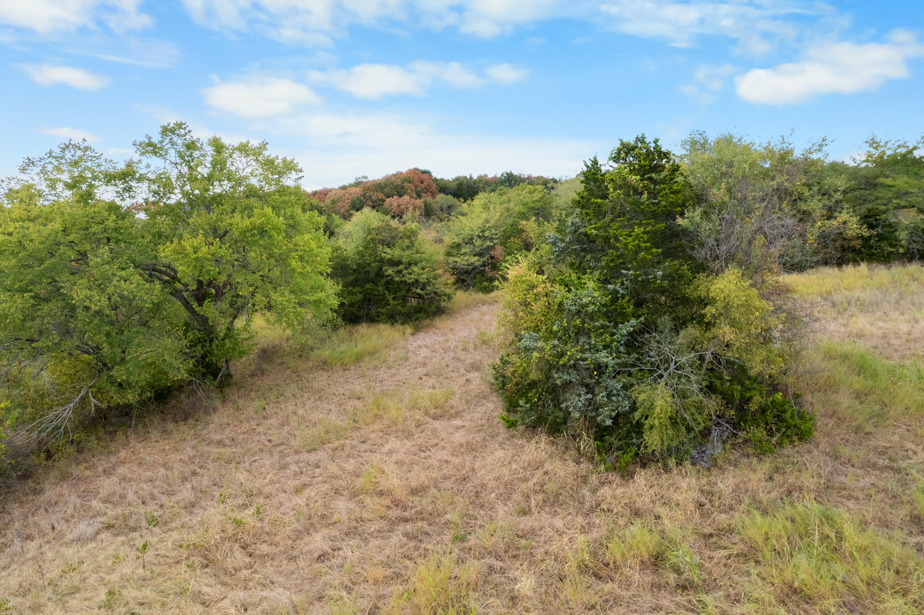 3201 State Highway Dd Property Photo 52