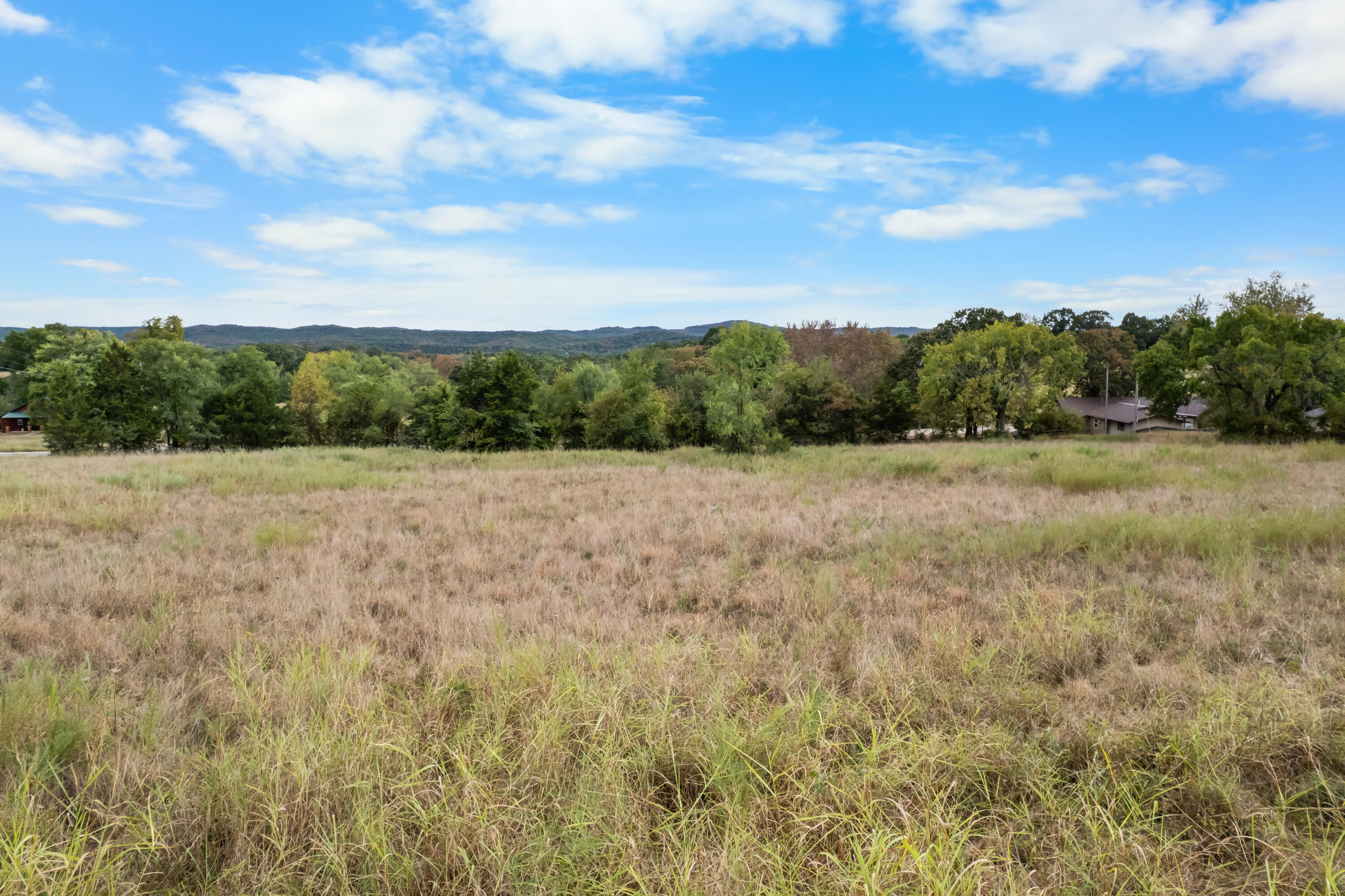 3201 State Highway Dd Property Photo 54