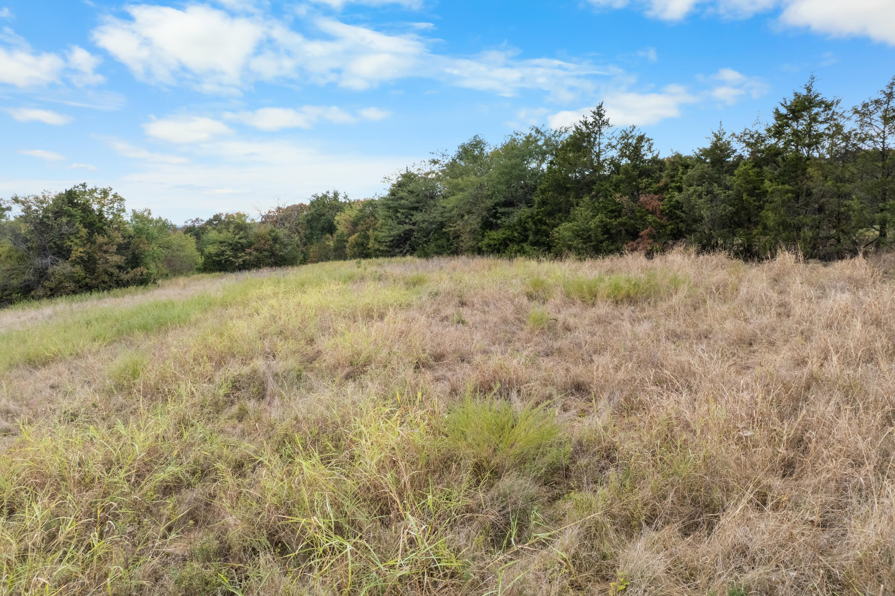 3201 State Highway Dd Property Photo 56