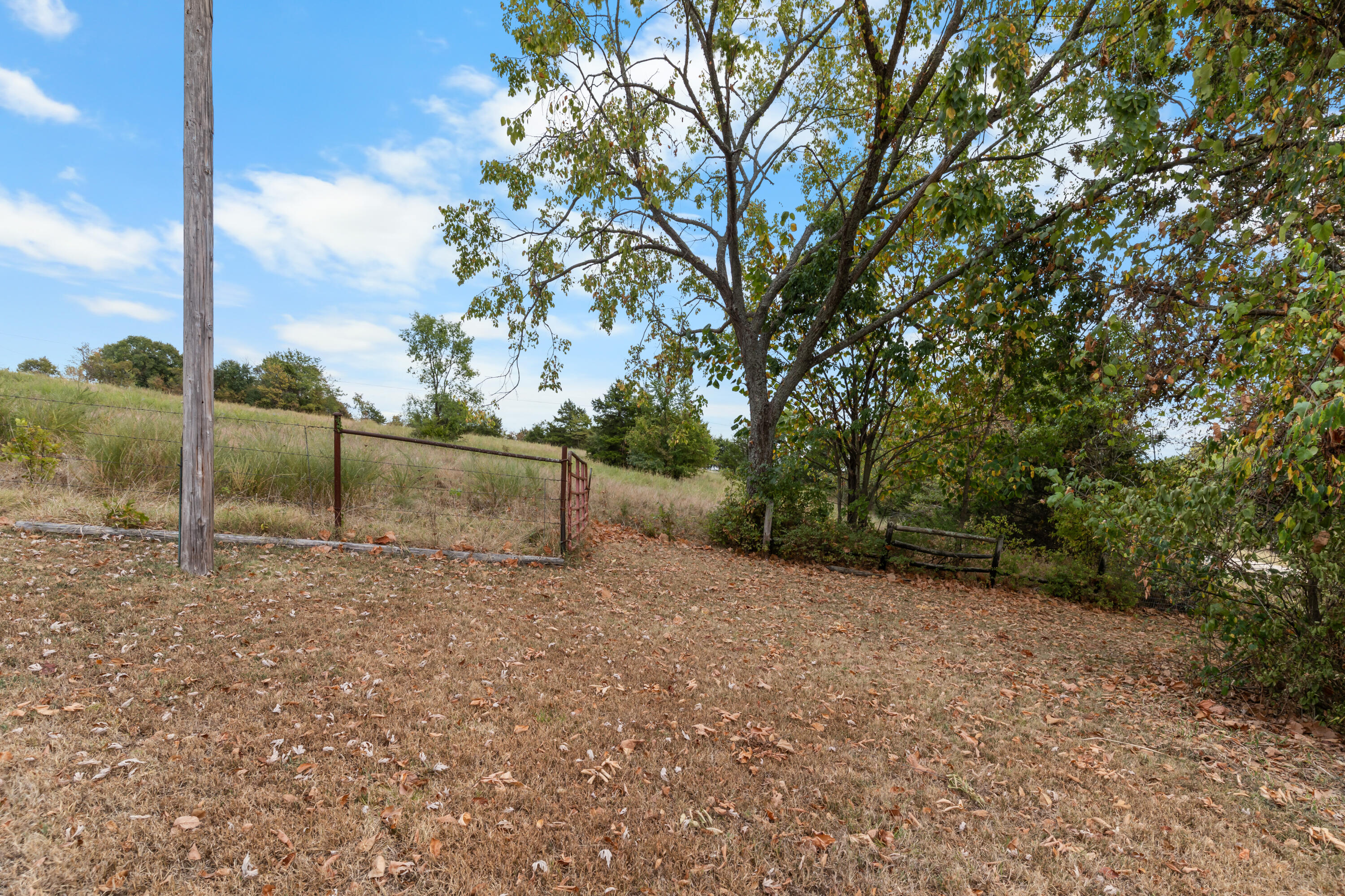 3201 State Highway Dd Property Photo 65