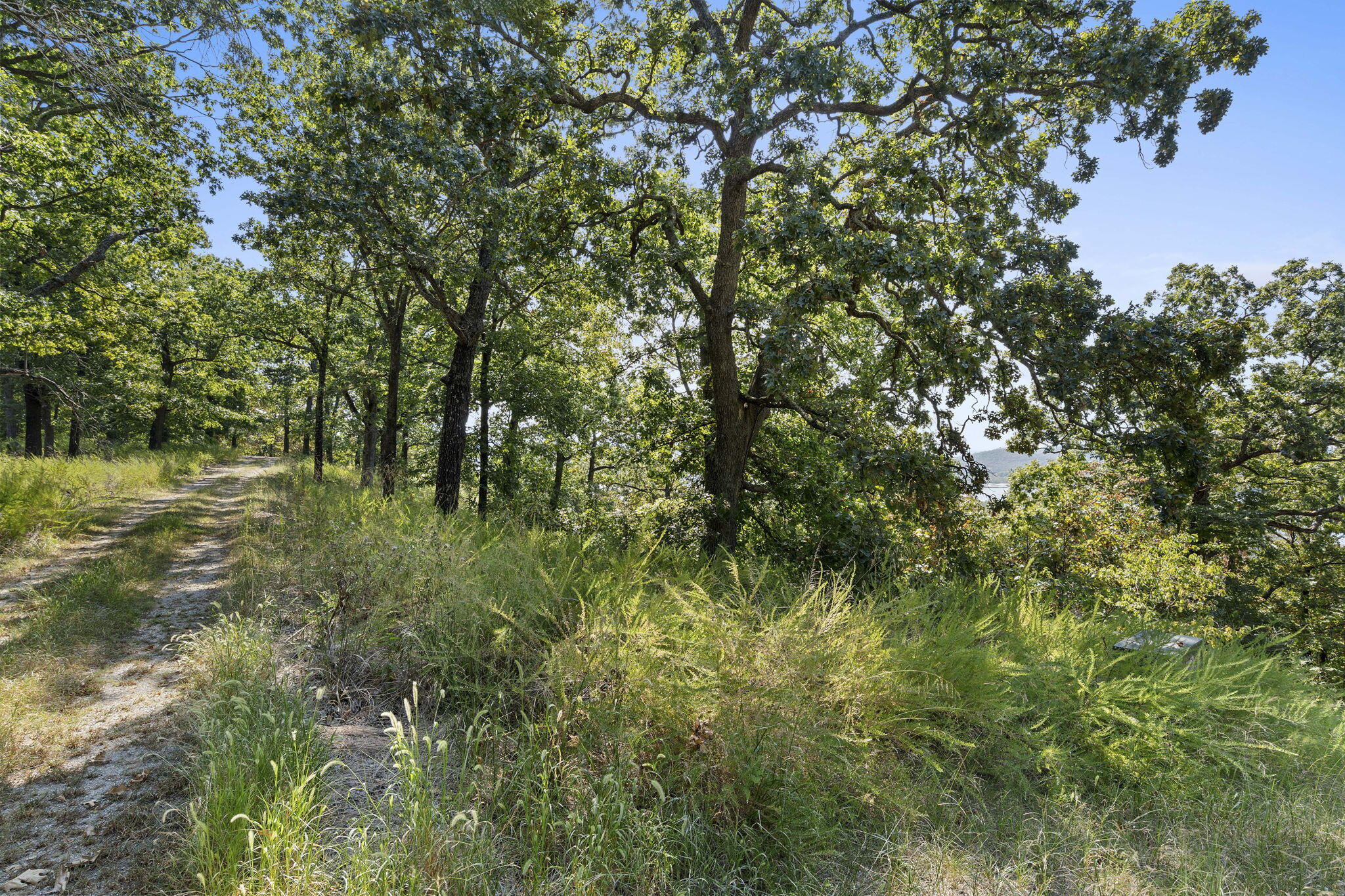 Lot 5 Cliffside Estates Dr. Property Photo 14