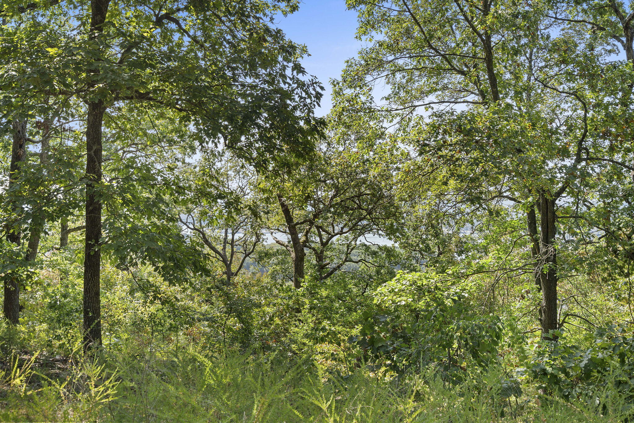Lot 5 Cliffside Estates Dr. Property Photo 15