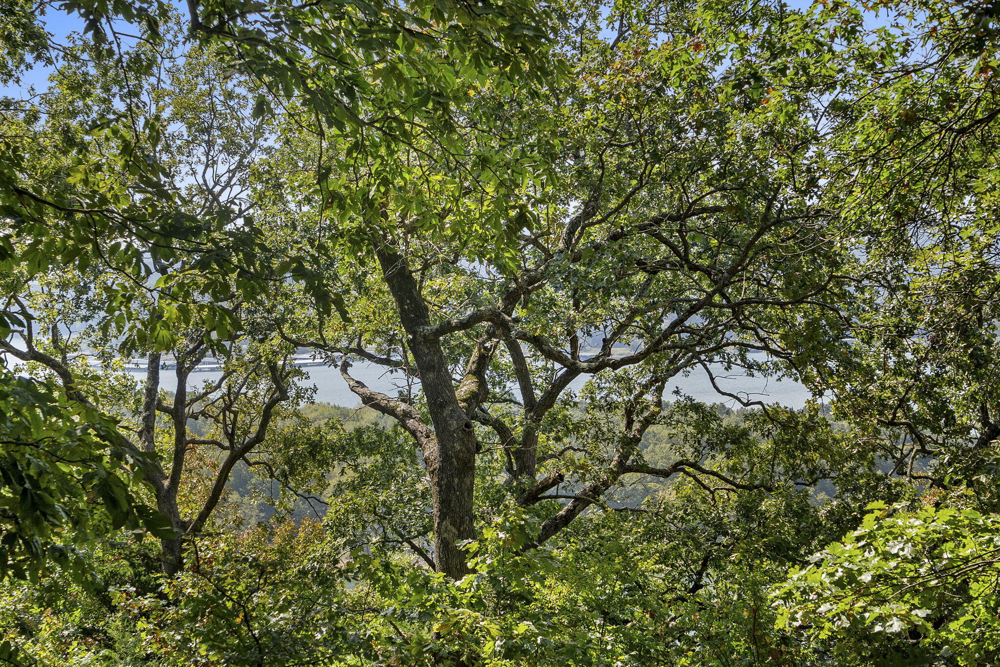 Lot 5 Cliffside Estates Dr. Property Photo 19