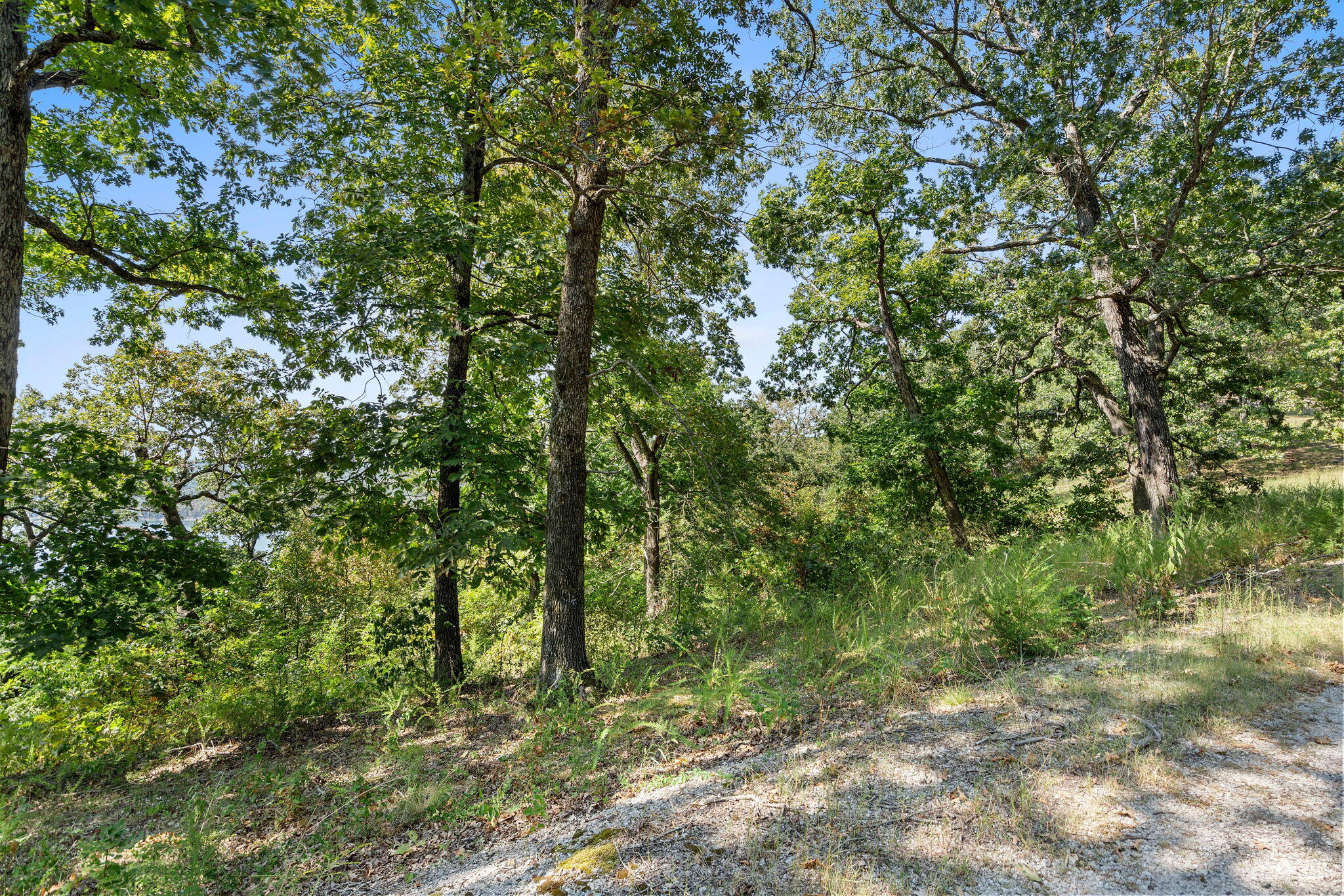 Lot 5 Cliffside Estates Dr. Property Photo 20