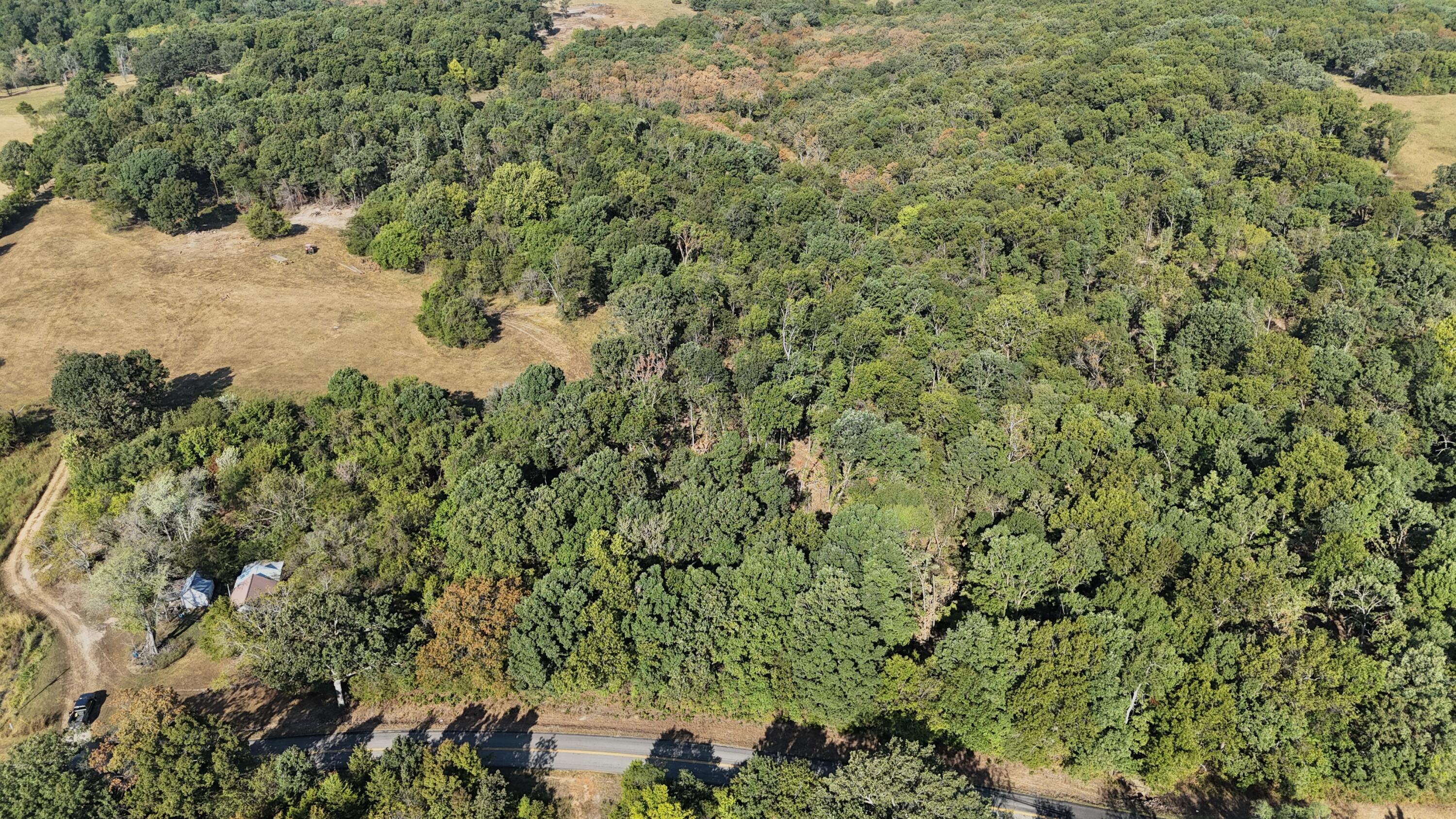 000 State Highway Z Property Photo 1