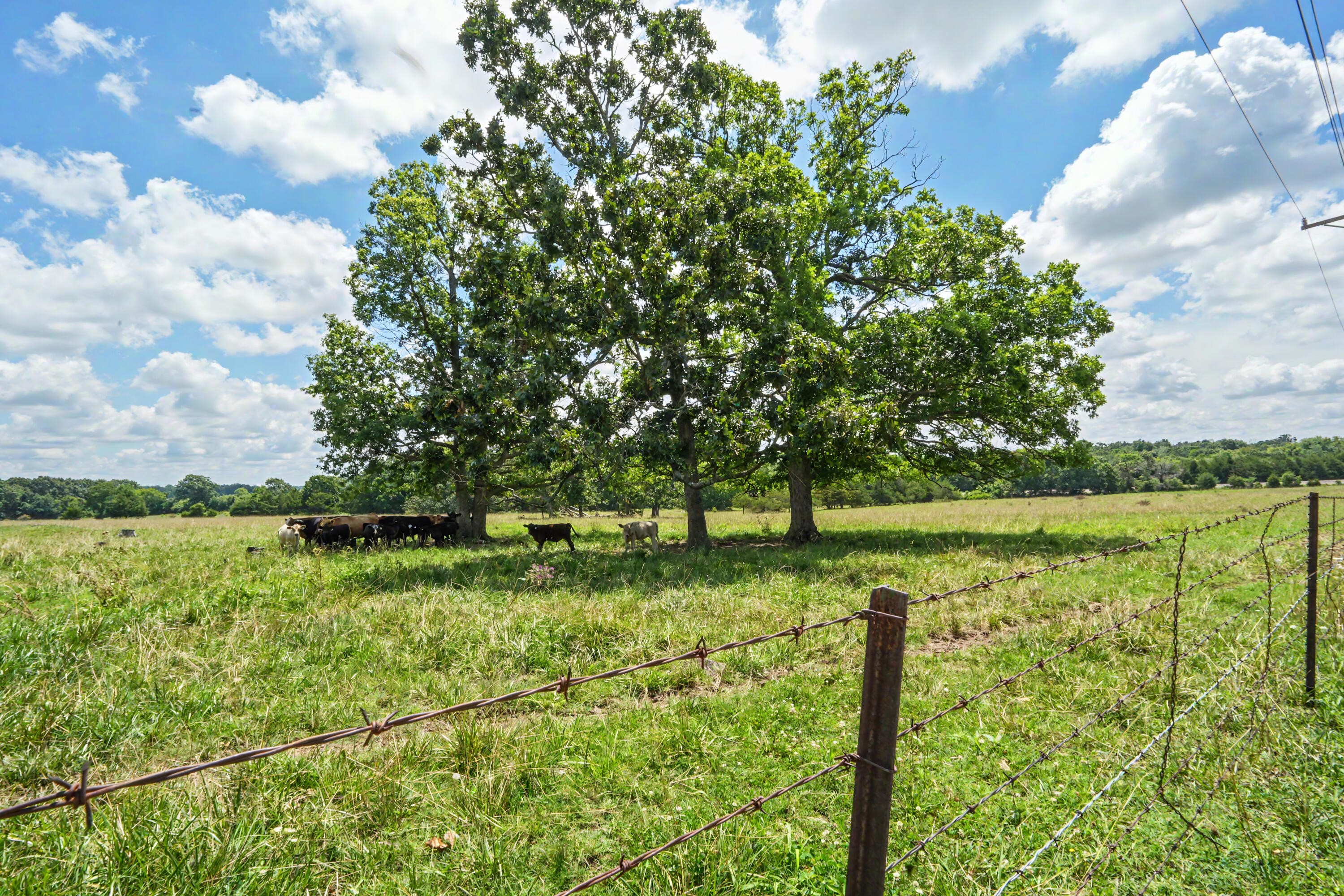 1114 Vermule Road Property Photo 34