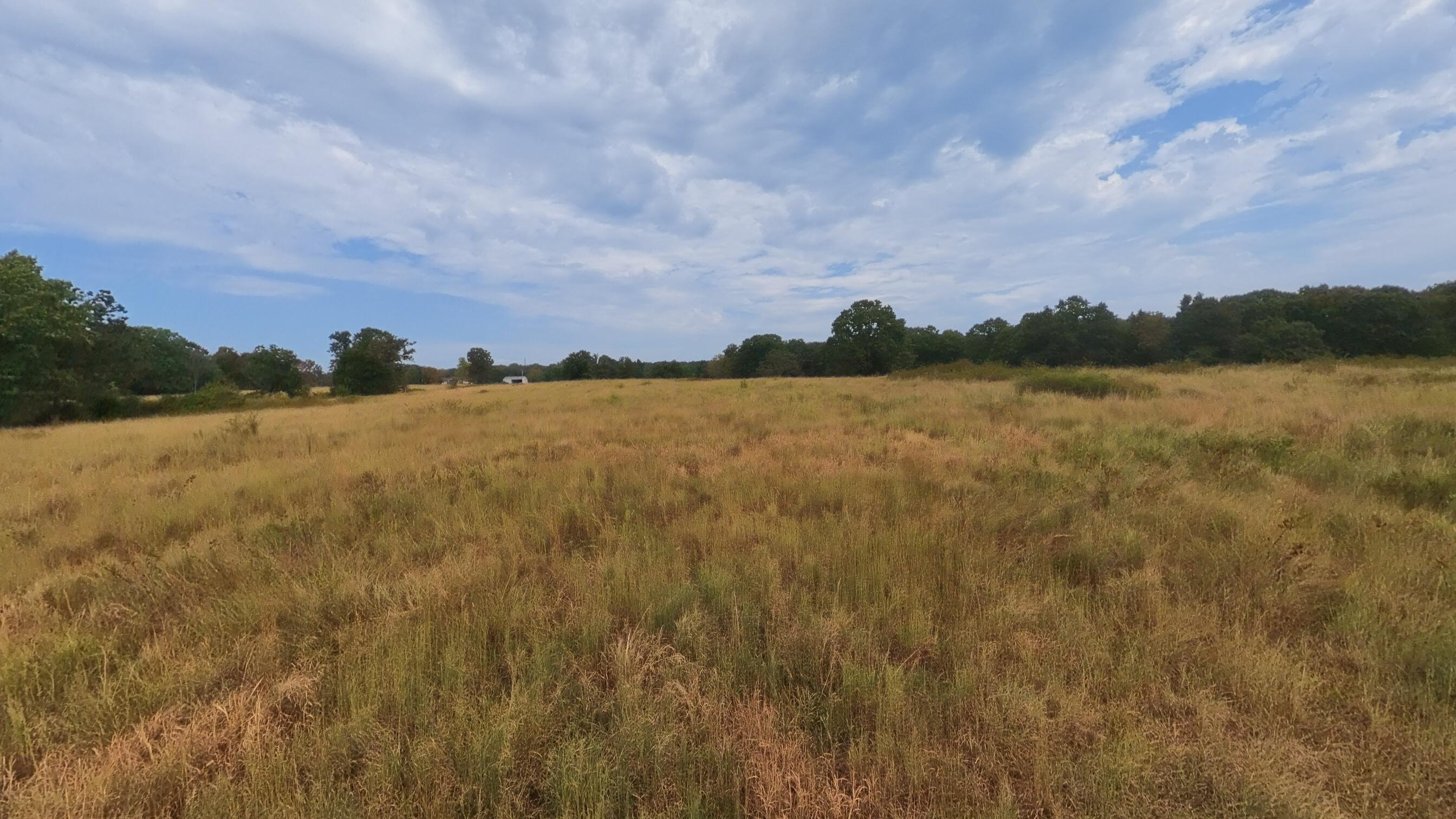 3010 County Road 5640 Property Photo 43