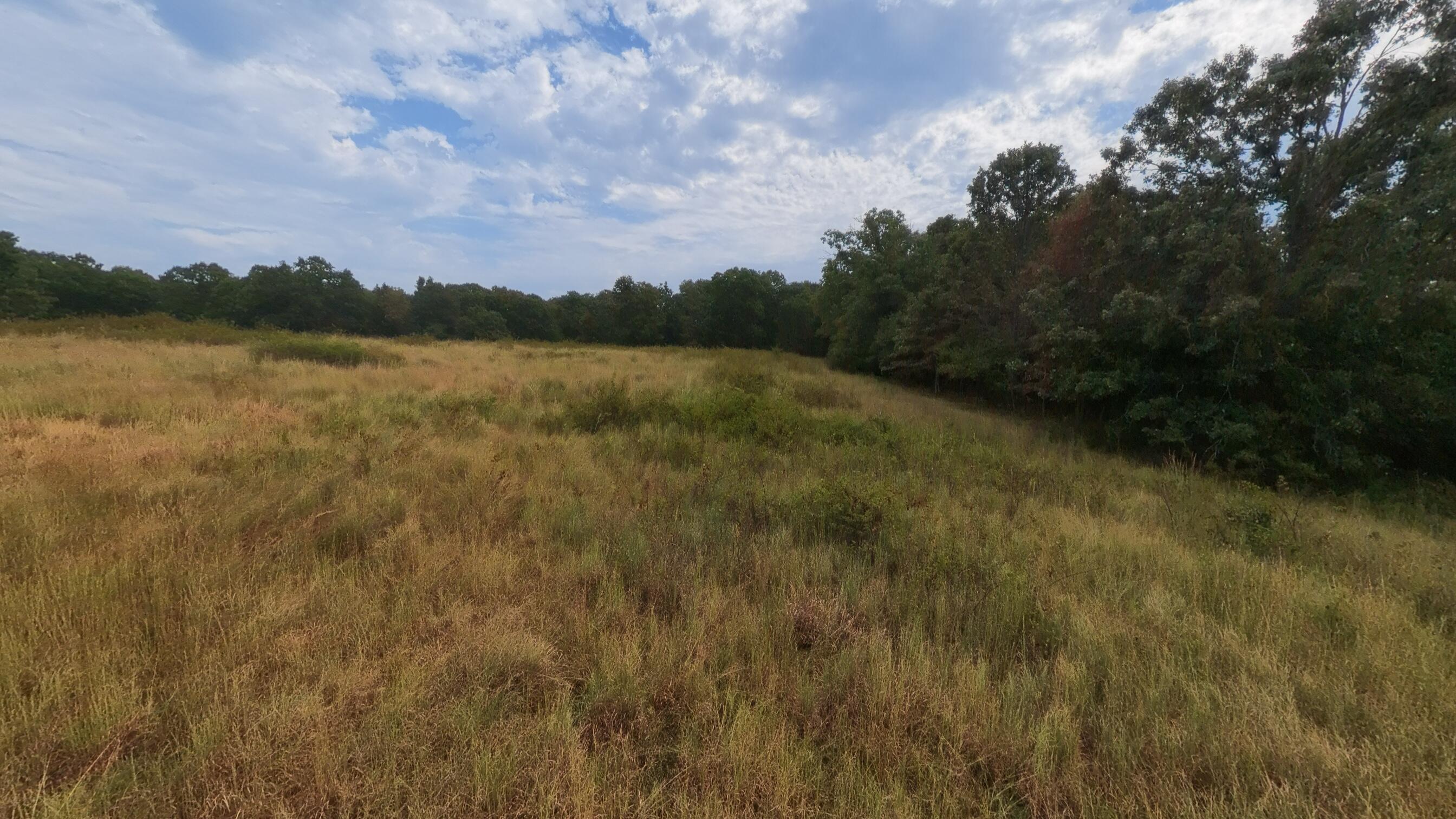 3010 County Road 5640 Property Photo 44
