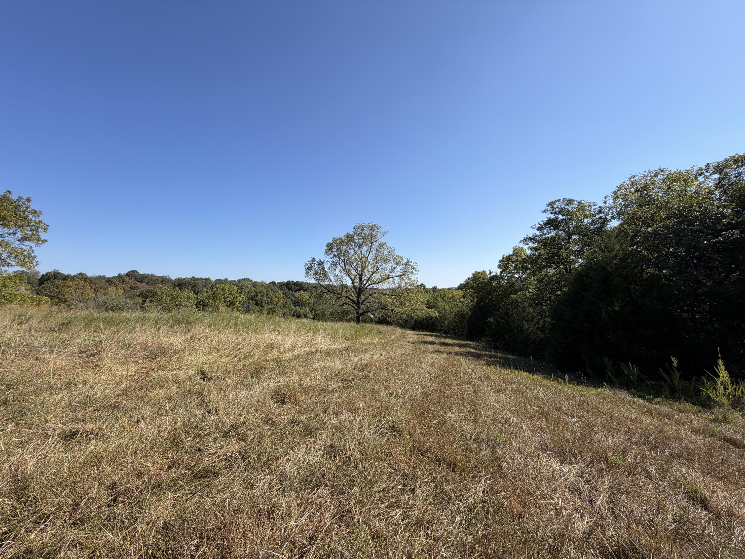 290 Greentown Road Property Photo 51