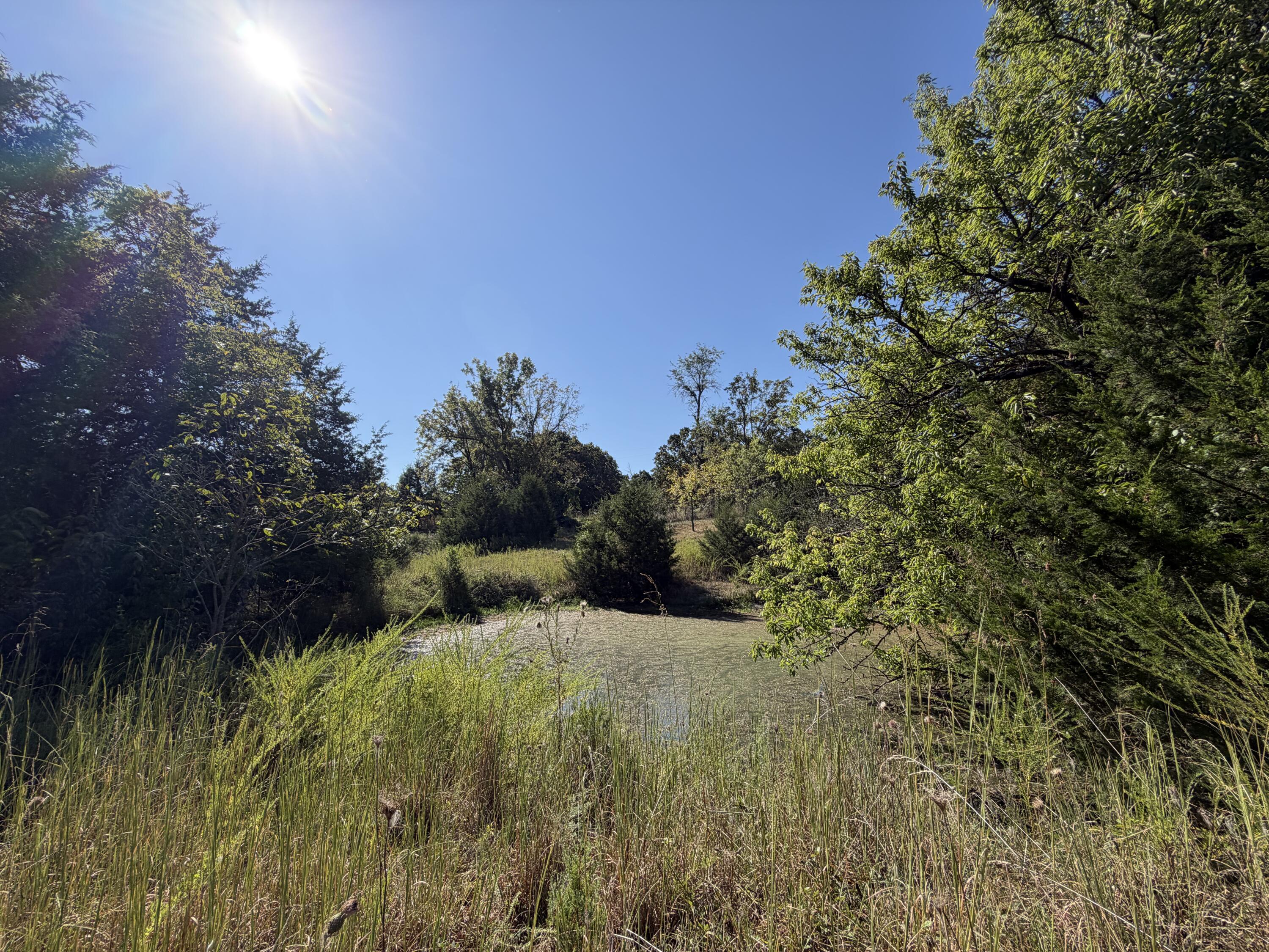 290 Greentown Road Property Photo 52