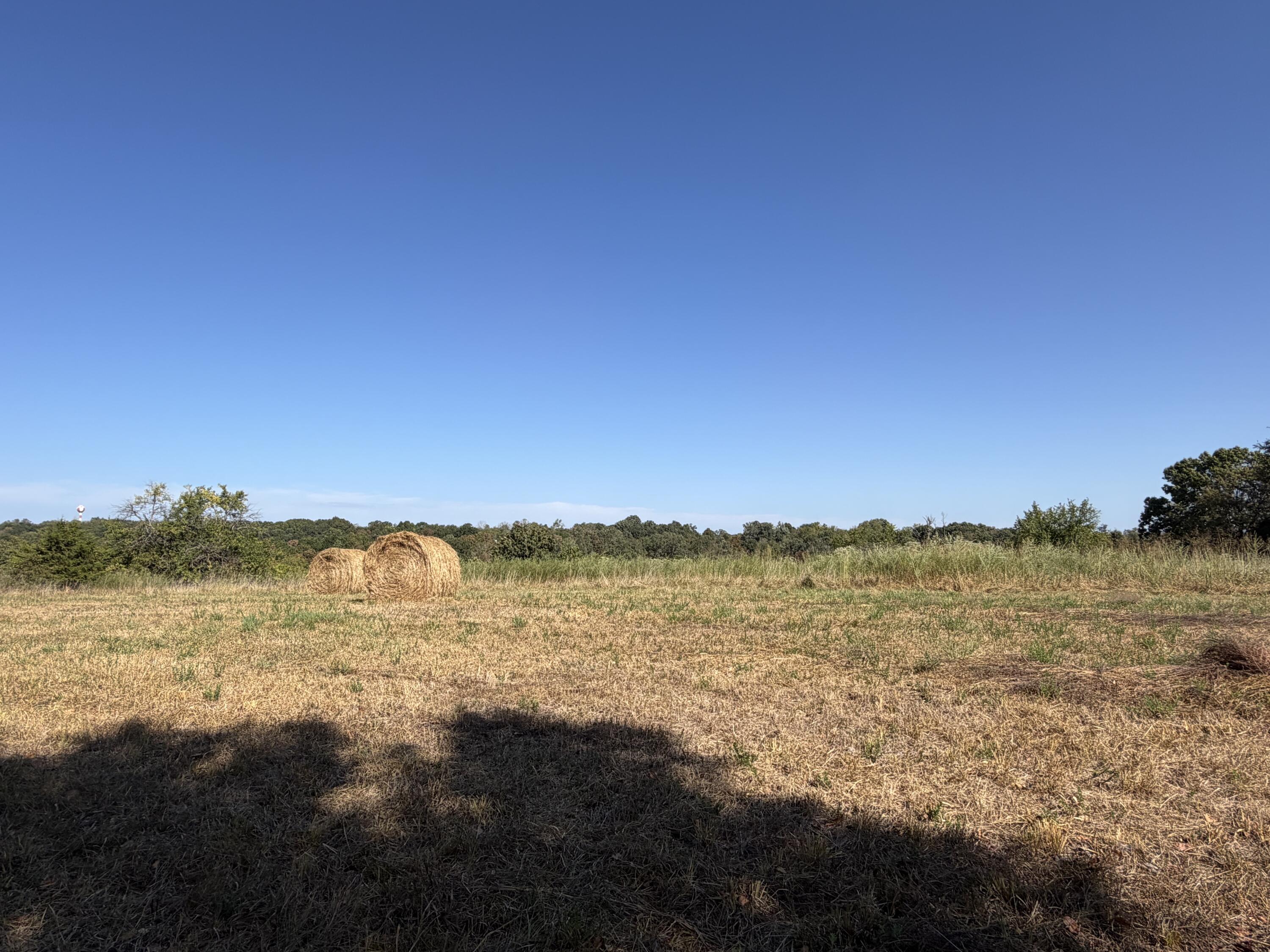 290 Greentown Road Property Photo 55