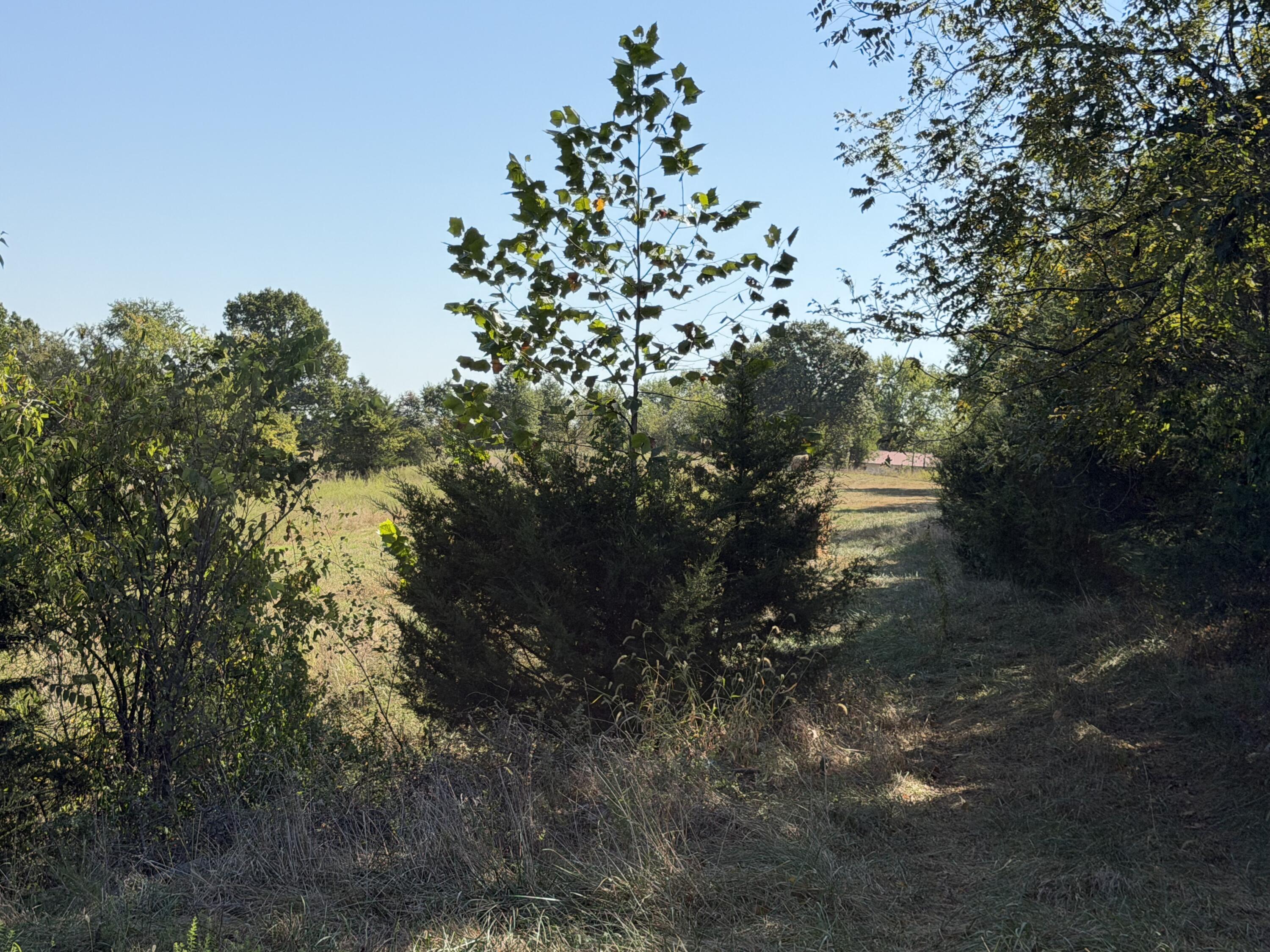 290 Greentown Road Property Photo 57