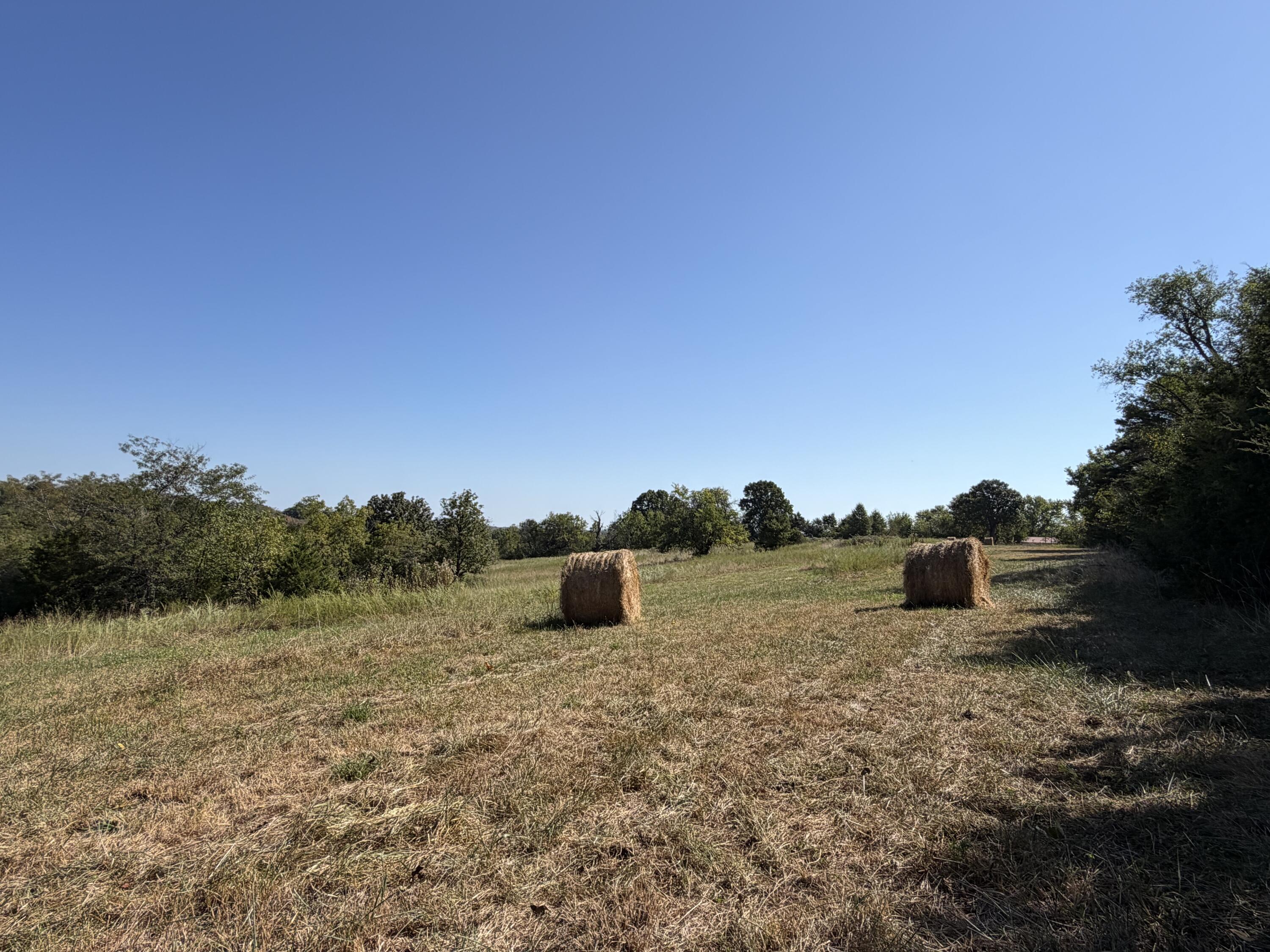 290 Greentown Road Property Photo 59