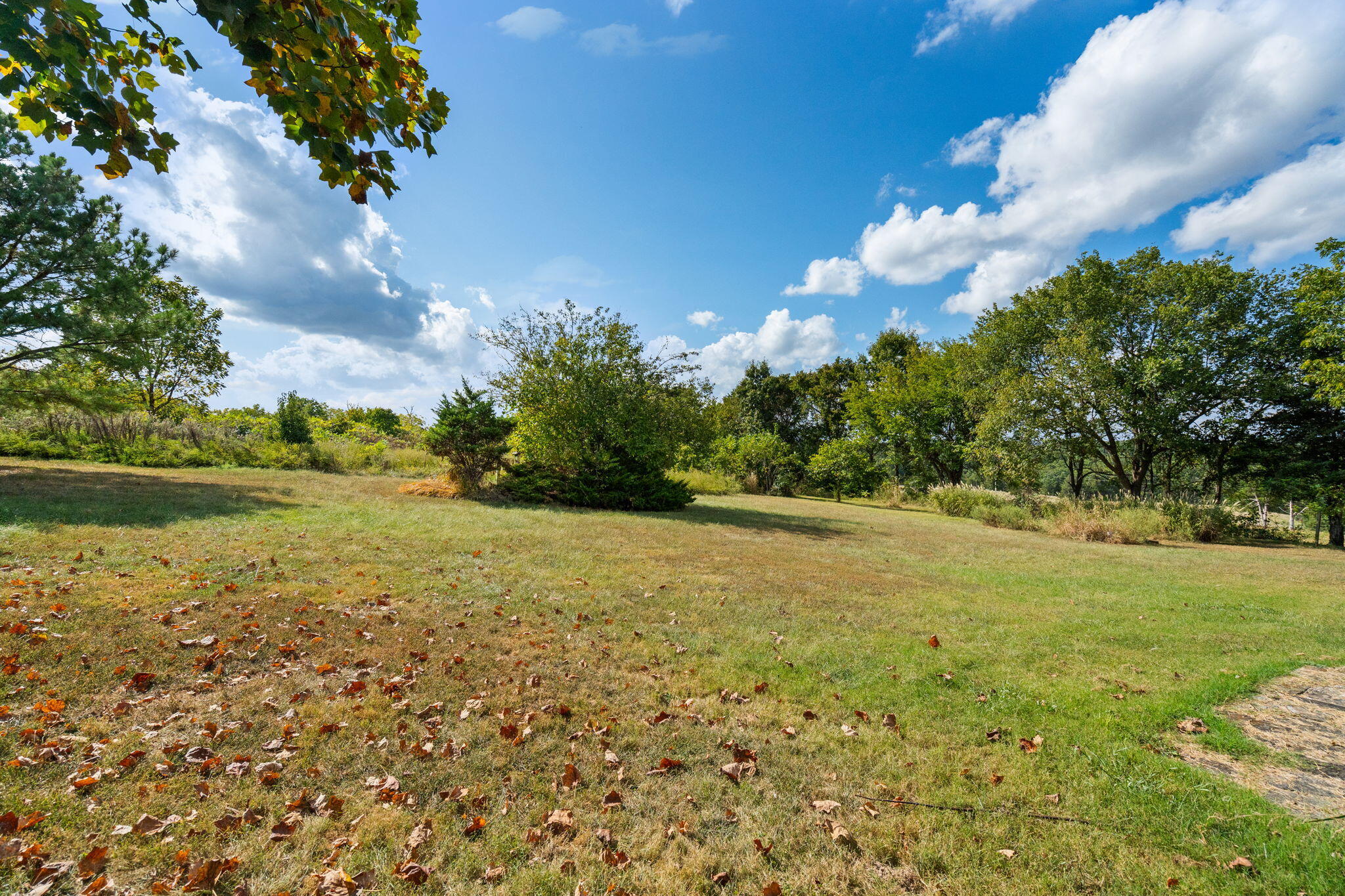 165 Fairview Road Property Photo 31