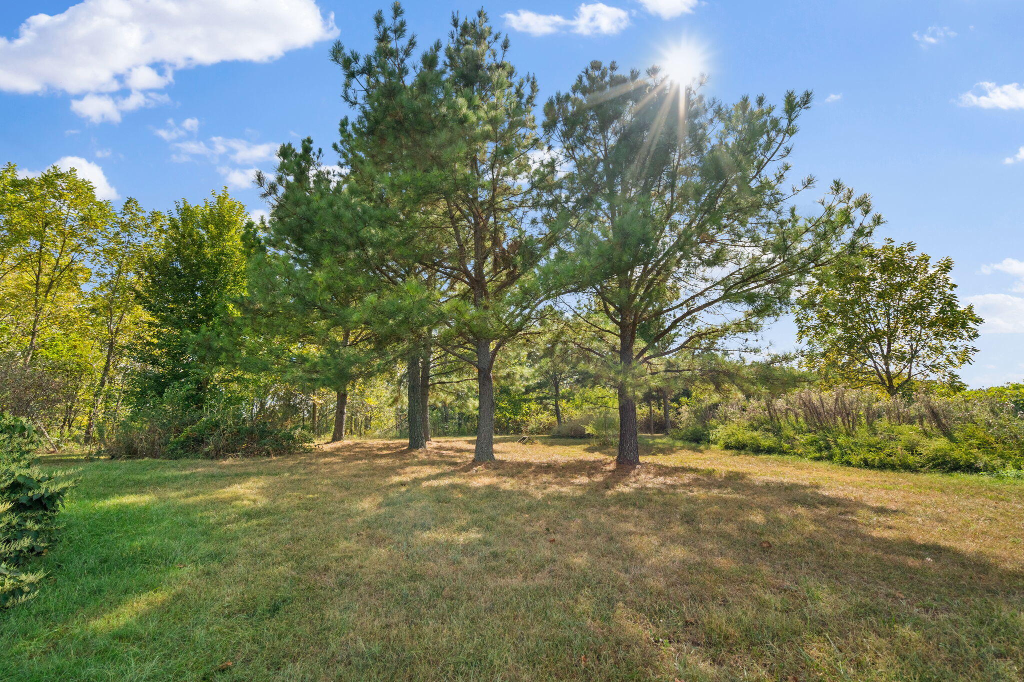 165 Fairview Road Property Photo 32