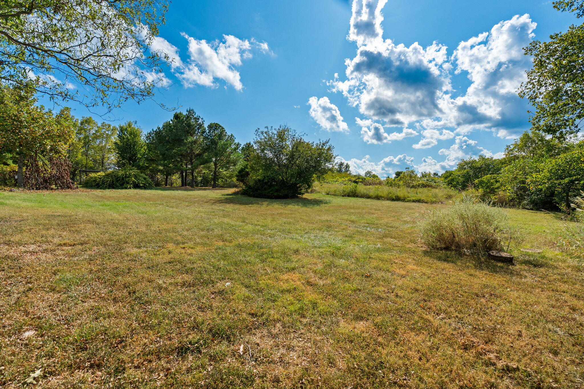 165 Fairview Road Property Photo 36