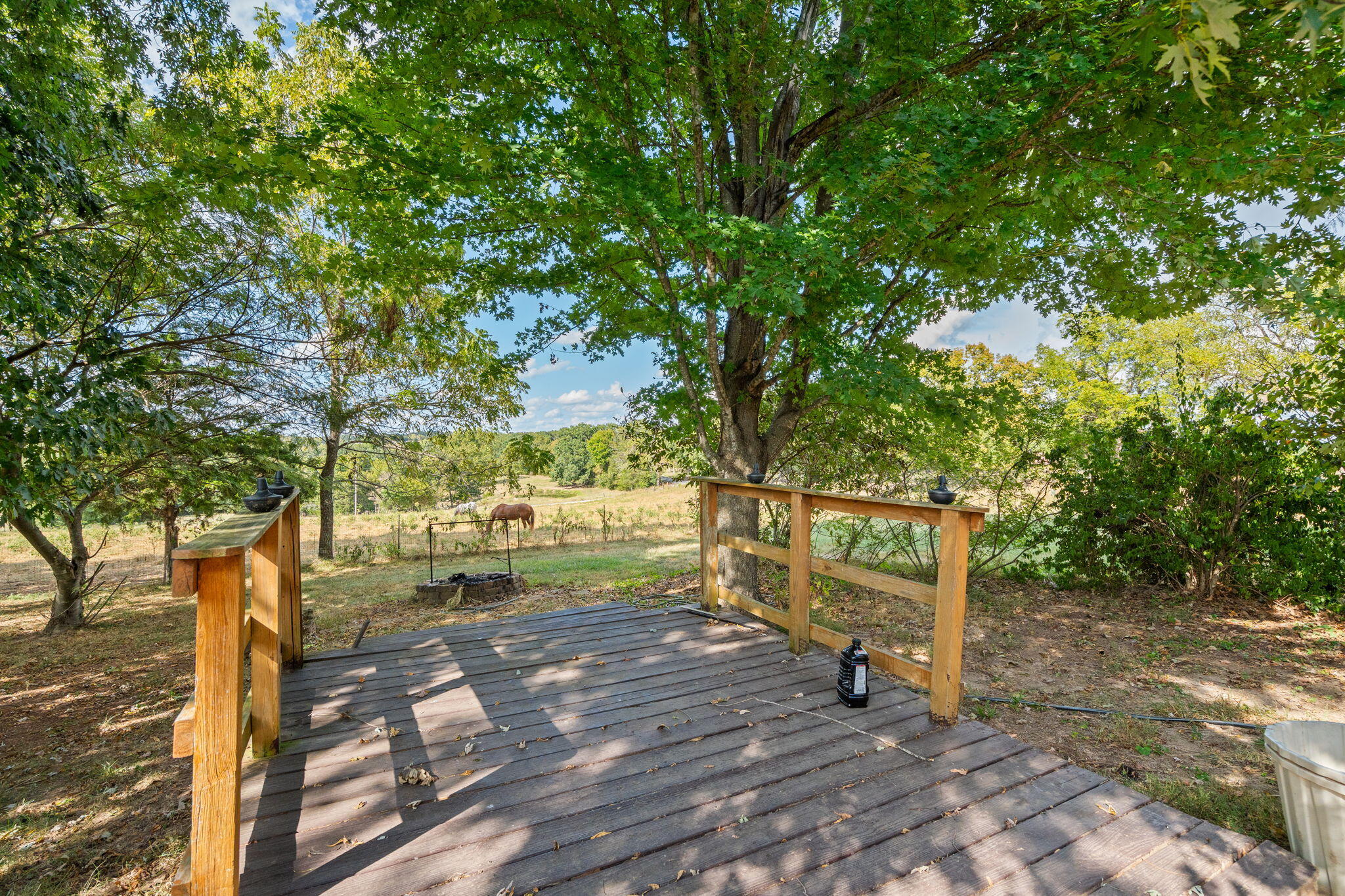 165 Fairview Road Property Photo 37