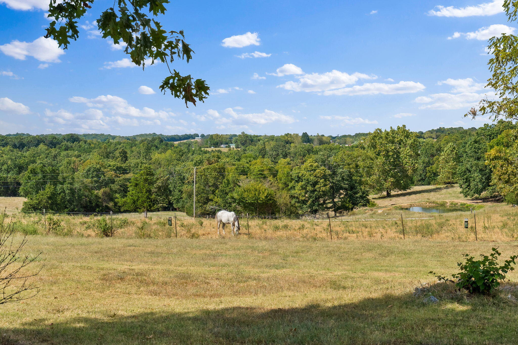 165 Fairview Road Property Photo 46