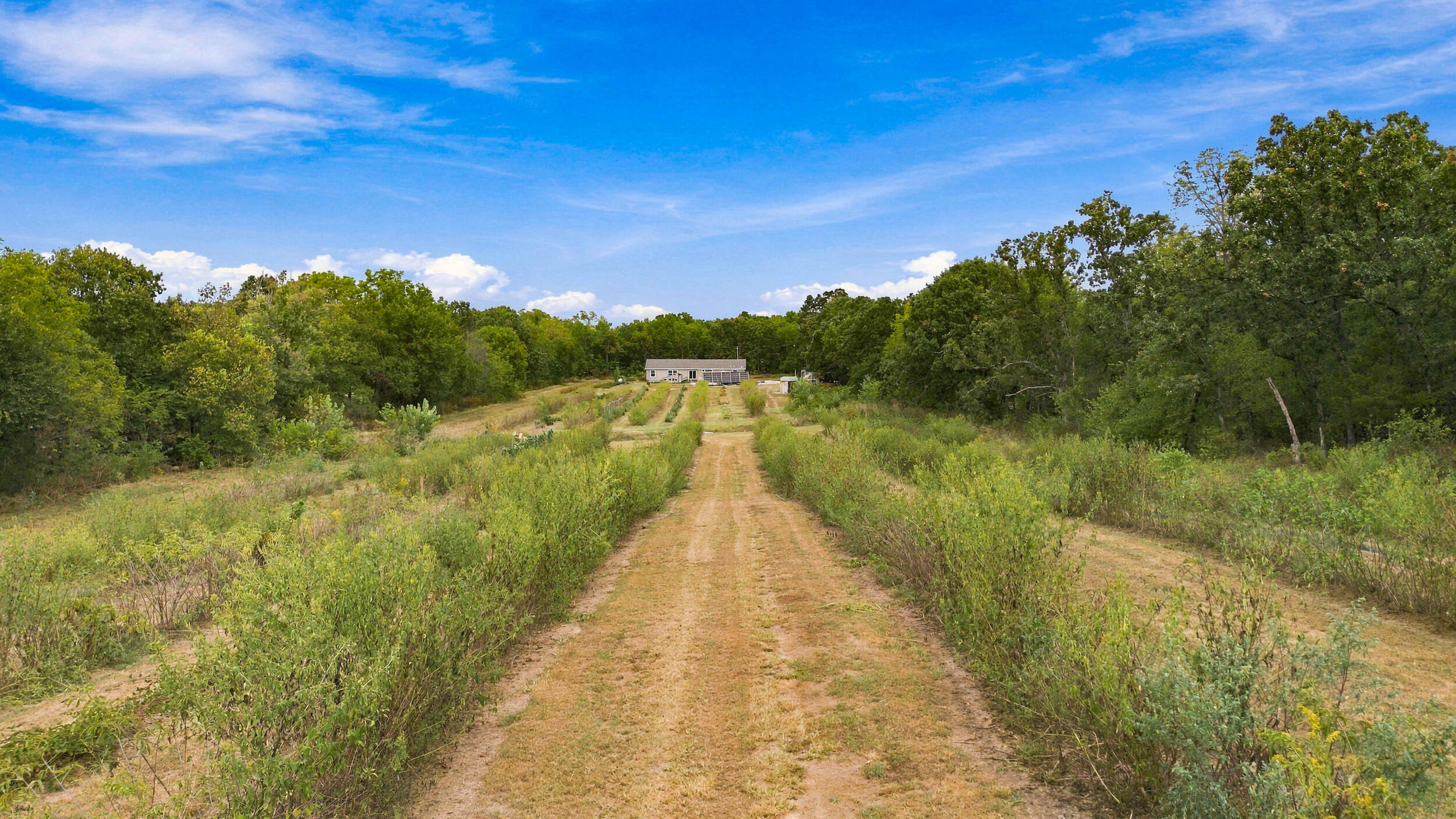 5163 Lawrence 2212 Property Photo 59