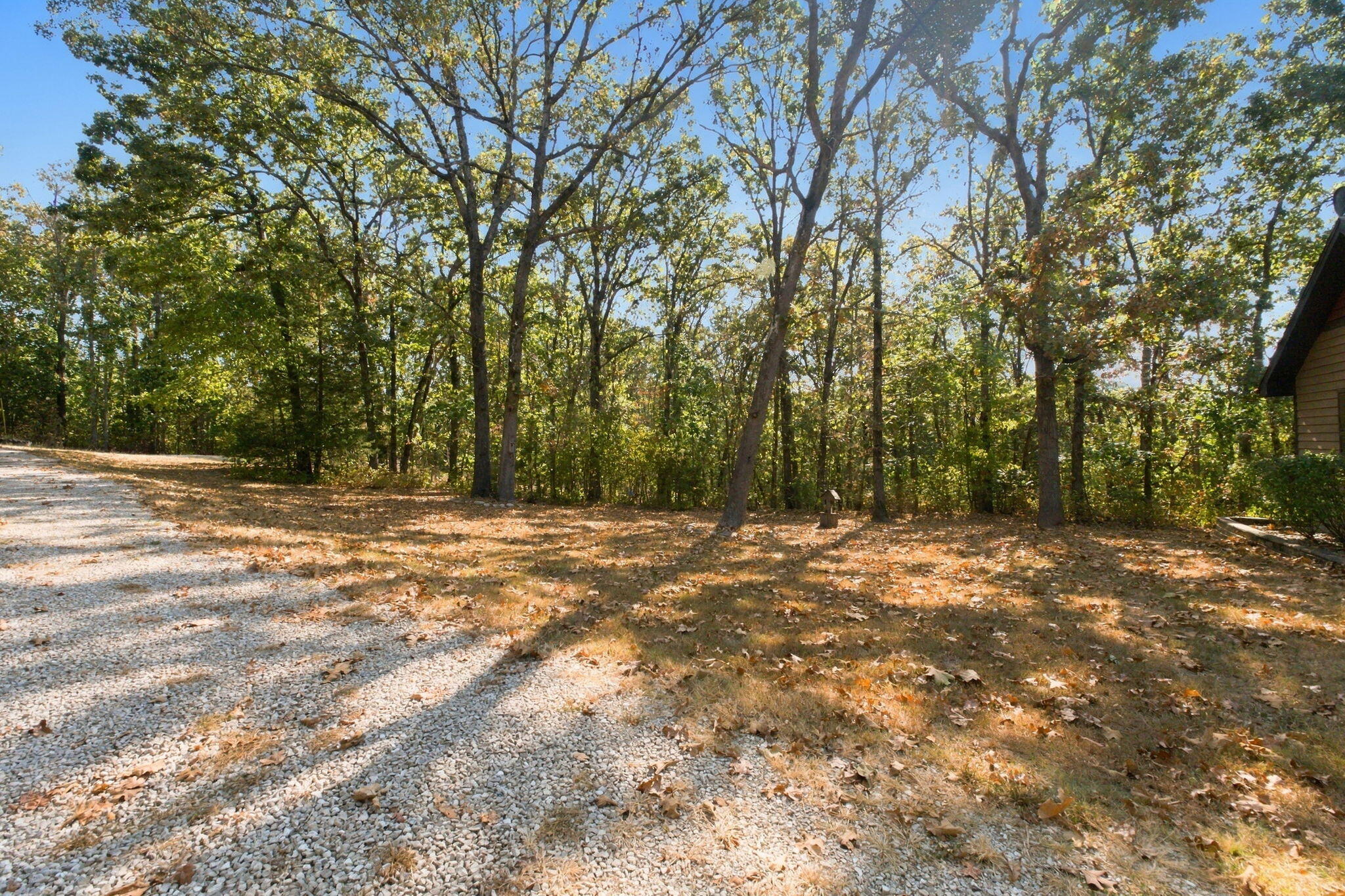6038 State Highway A Property Photo 30