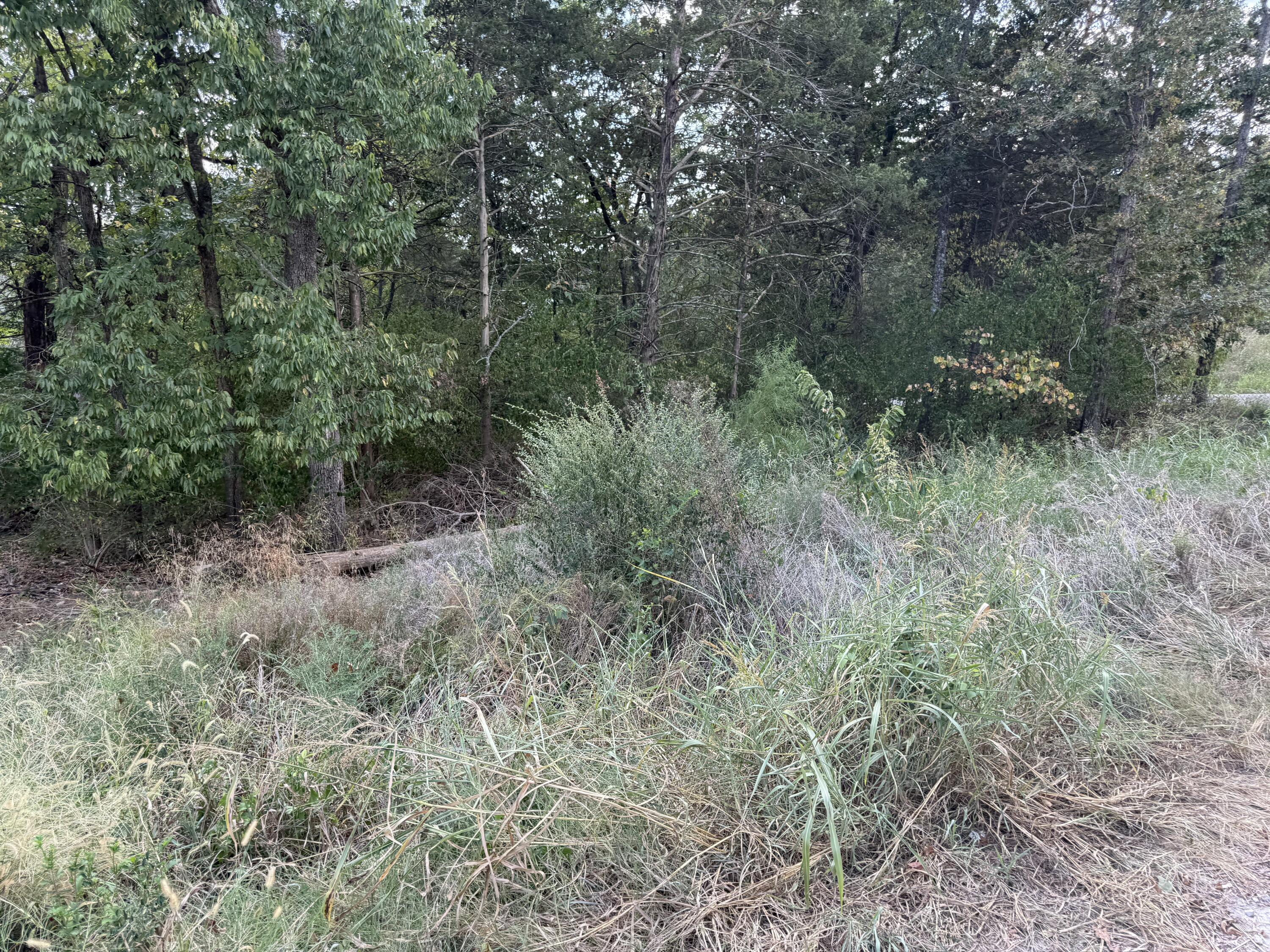 20 Dollar Lane Property Photo 4