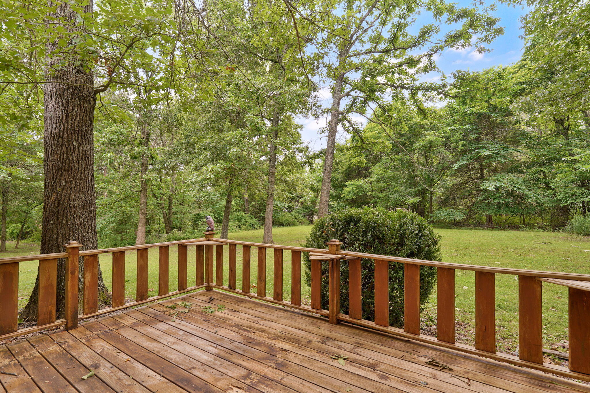 9971 East Farm Road 104 Property Photo 9