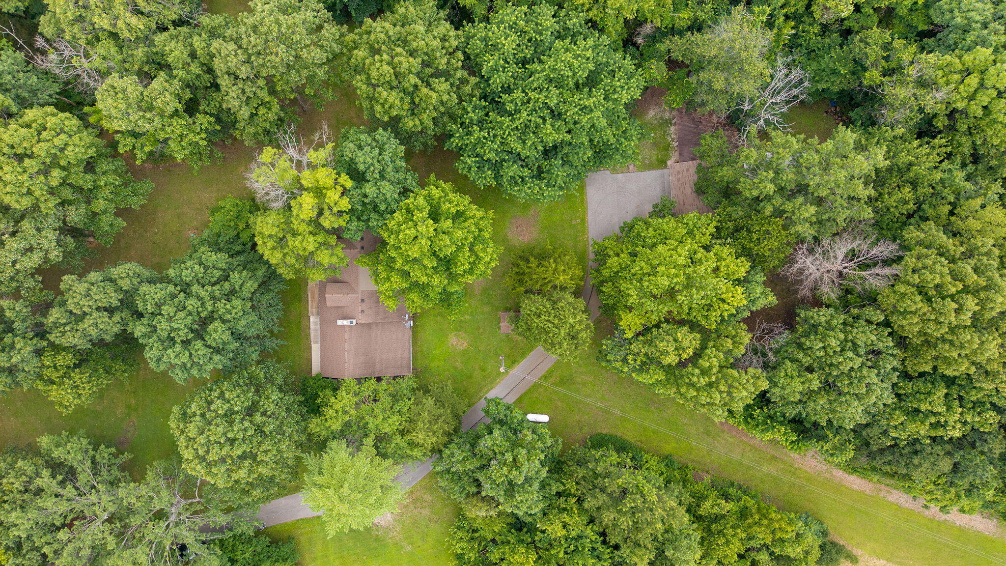 9971 East Farm Road 104 Property Photo 11