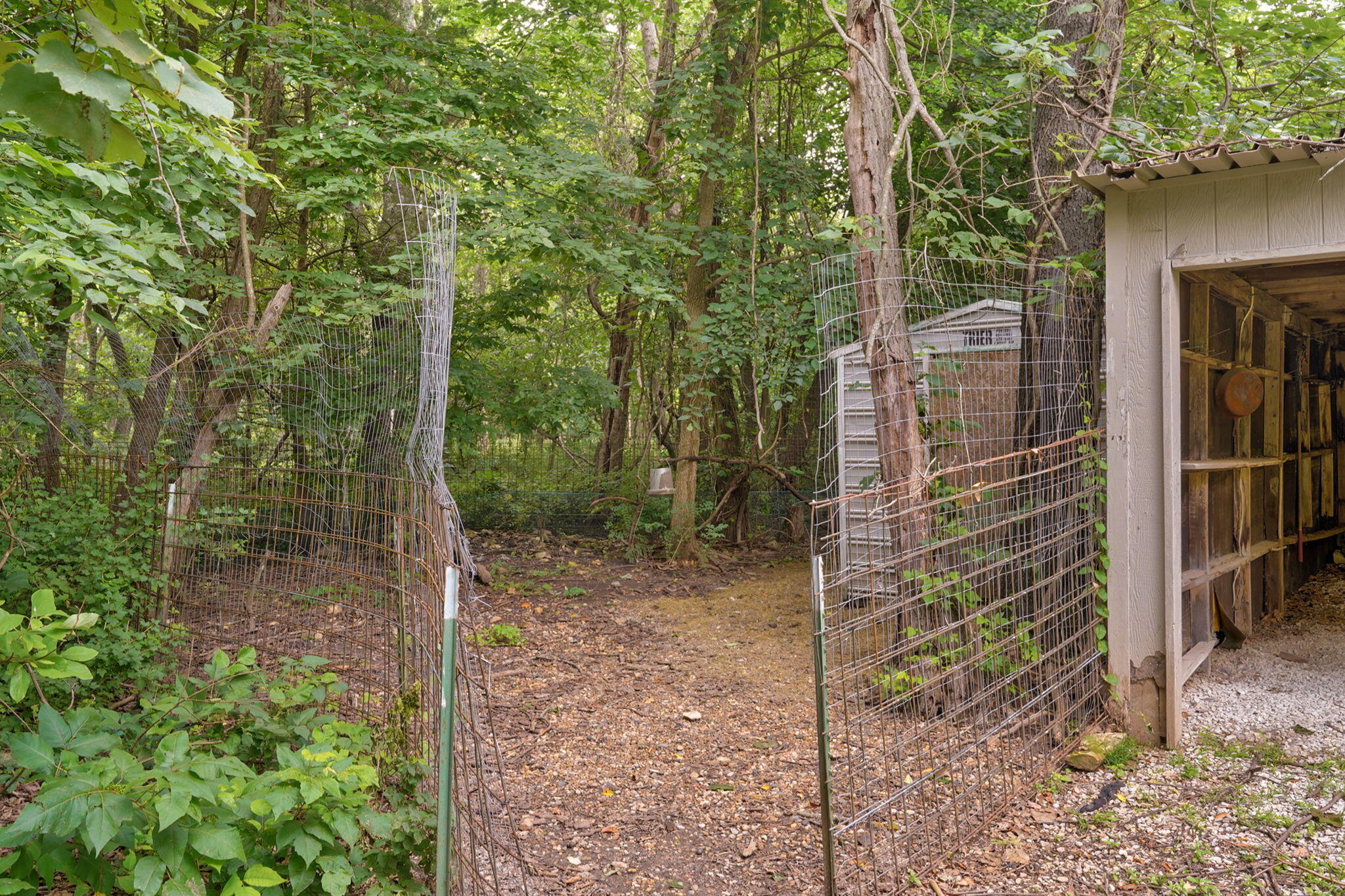 9971 East Farm Road 104 Property Photo 37