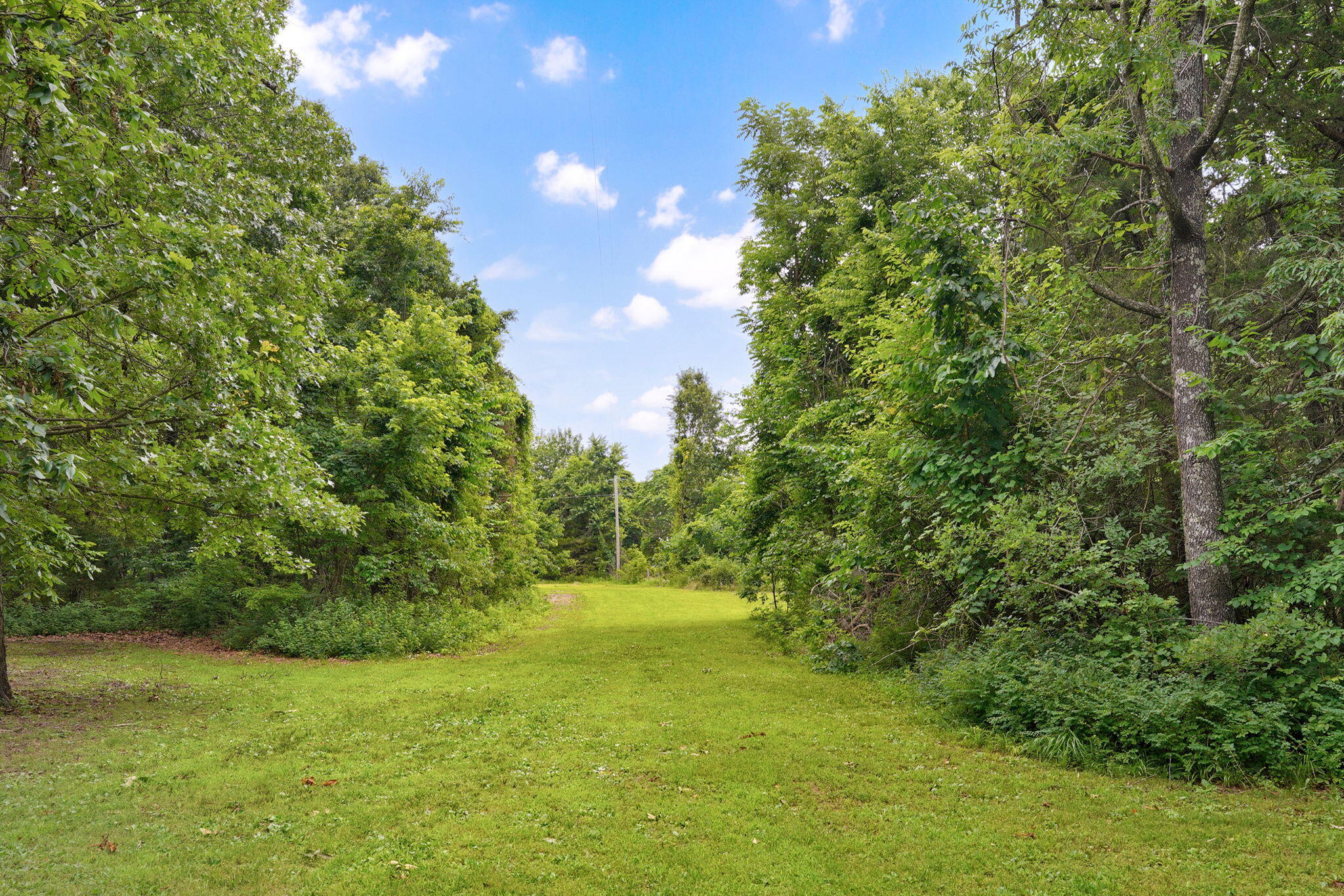 9971 East Farm Road 104 Property Photo 40