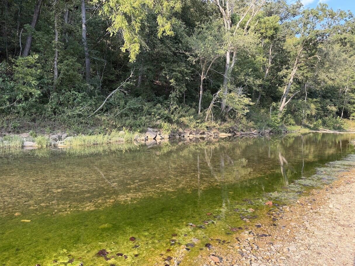 1035 Jacks Fork Road Road Property Photo 64
