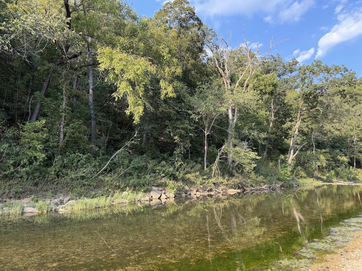 1035 Jacks Fork Road Road Property Photo 66