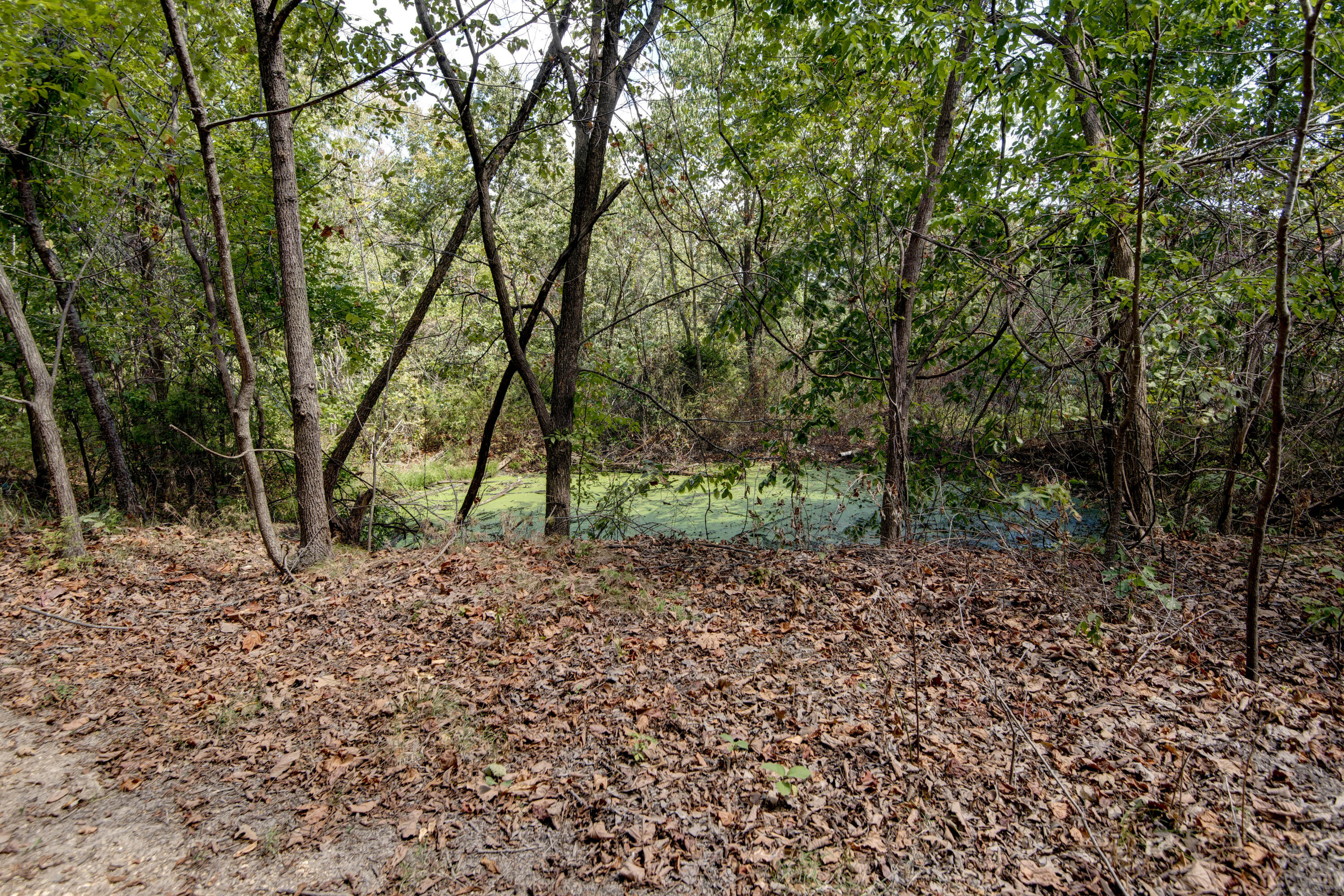 7502 North State Highway 125 Property Photo 22