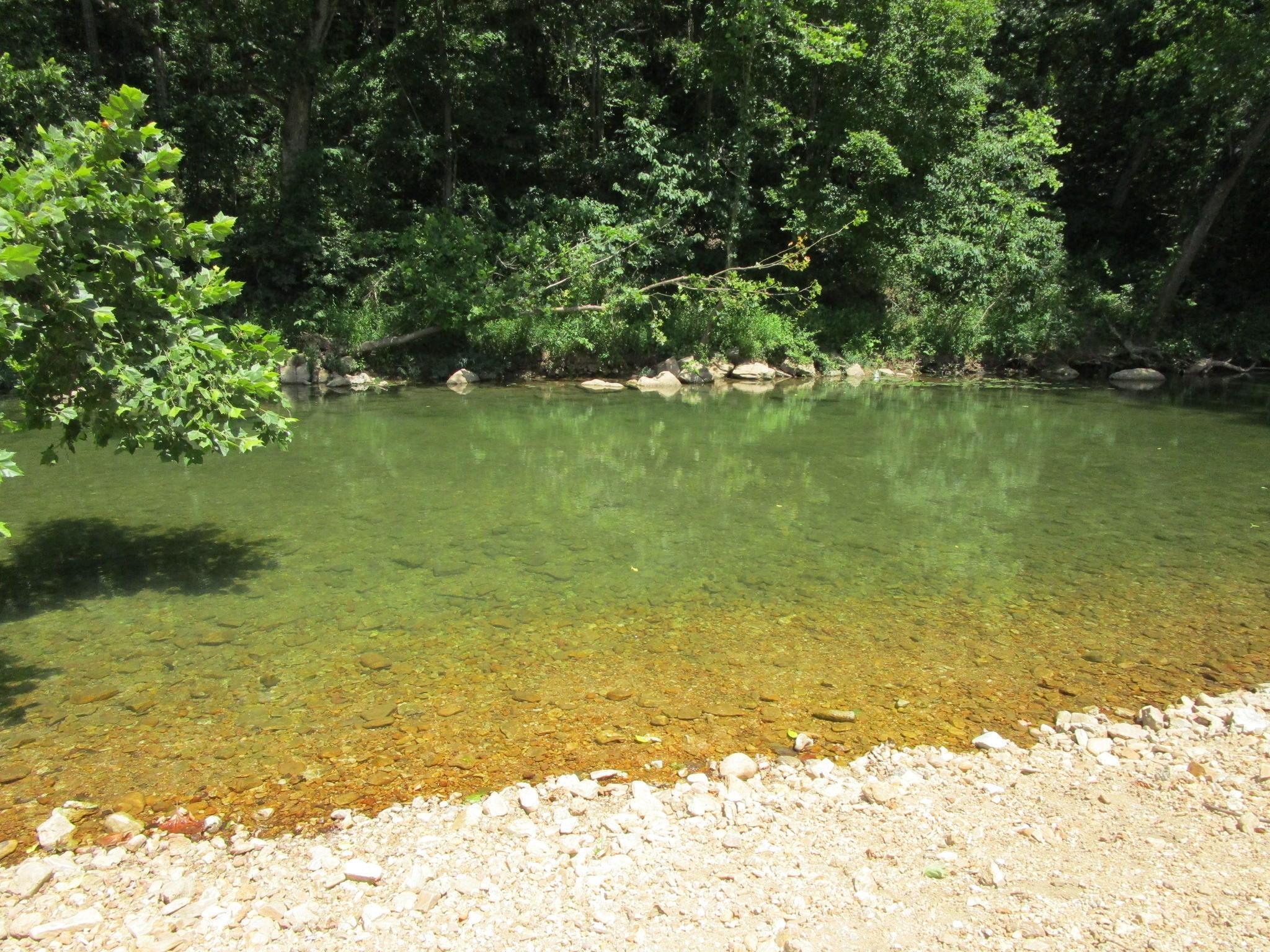 1035-1 Jacks Fork Road Road Property Photo 48