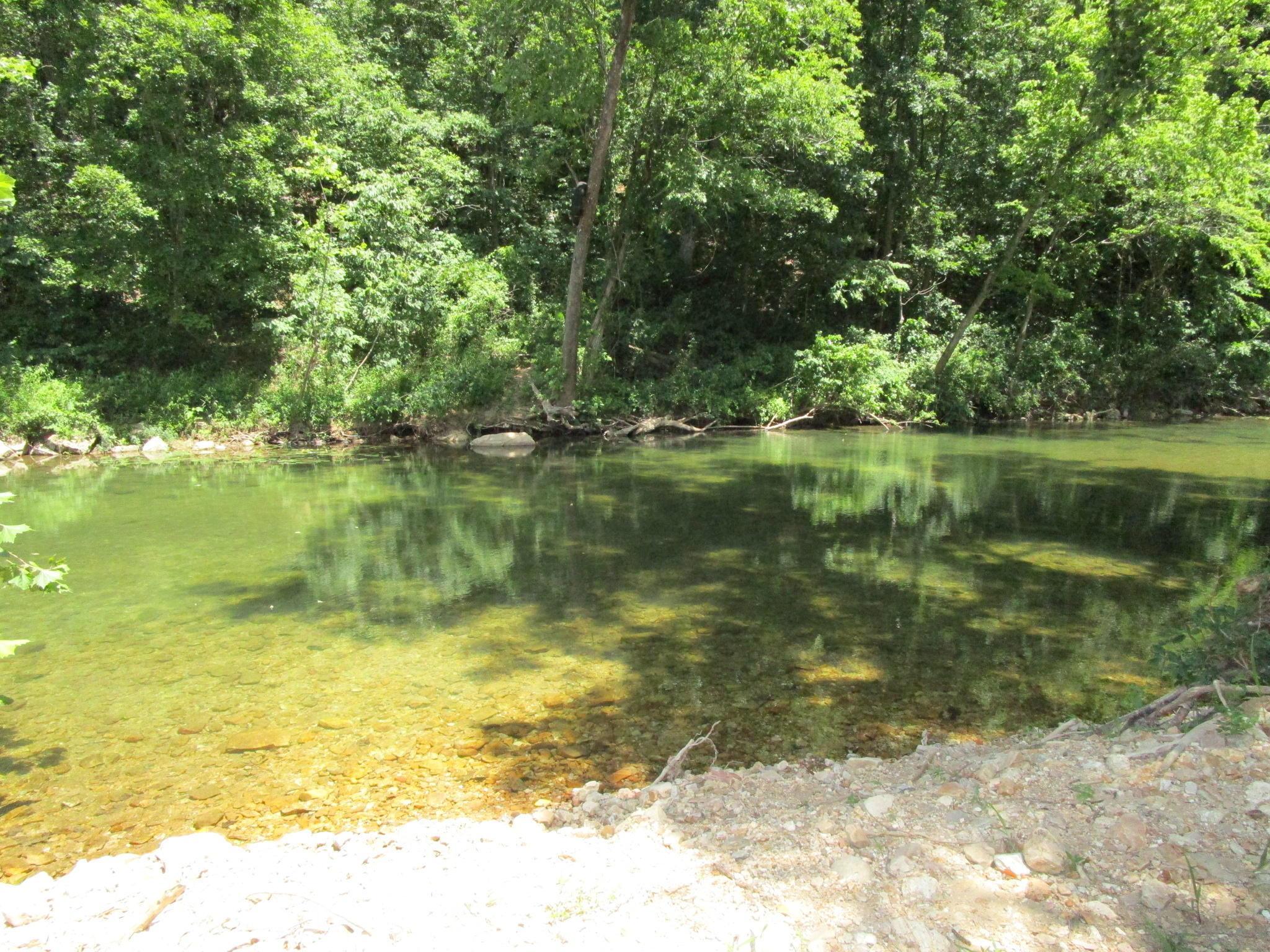 1035-1 Jacks Fork Road Road Property Photo 49