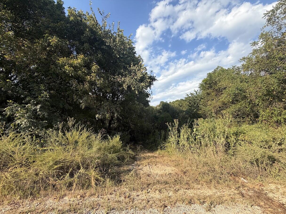 1035-1 Jacks Fork Road Road Property Photo 52