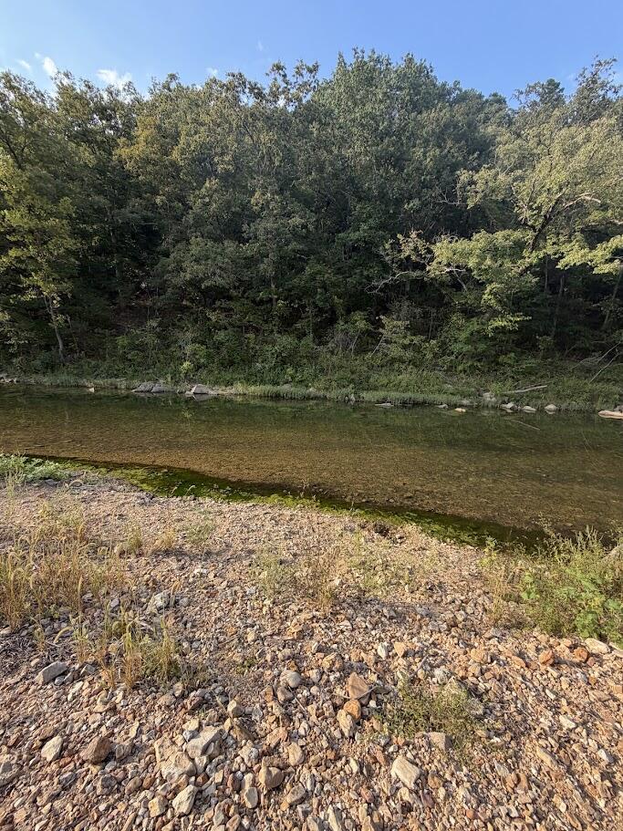 1035-1 Jacks Fork Road Road Property Photo 65