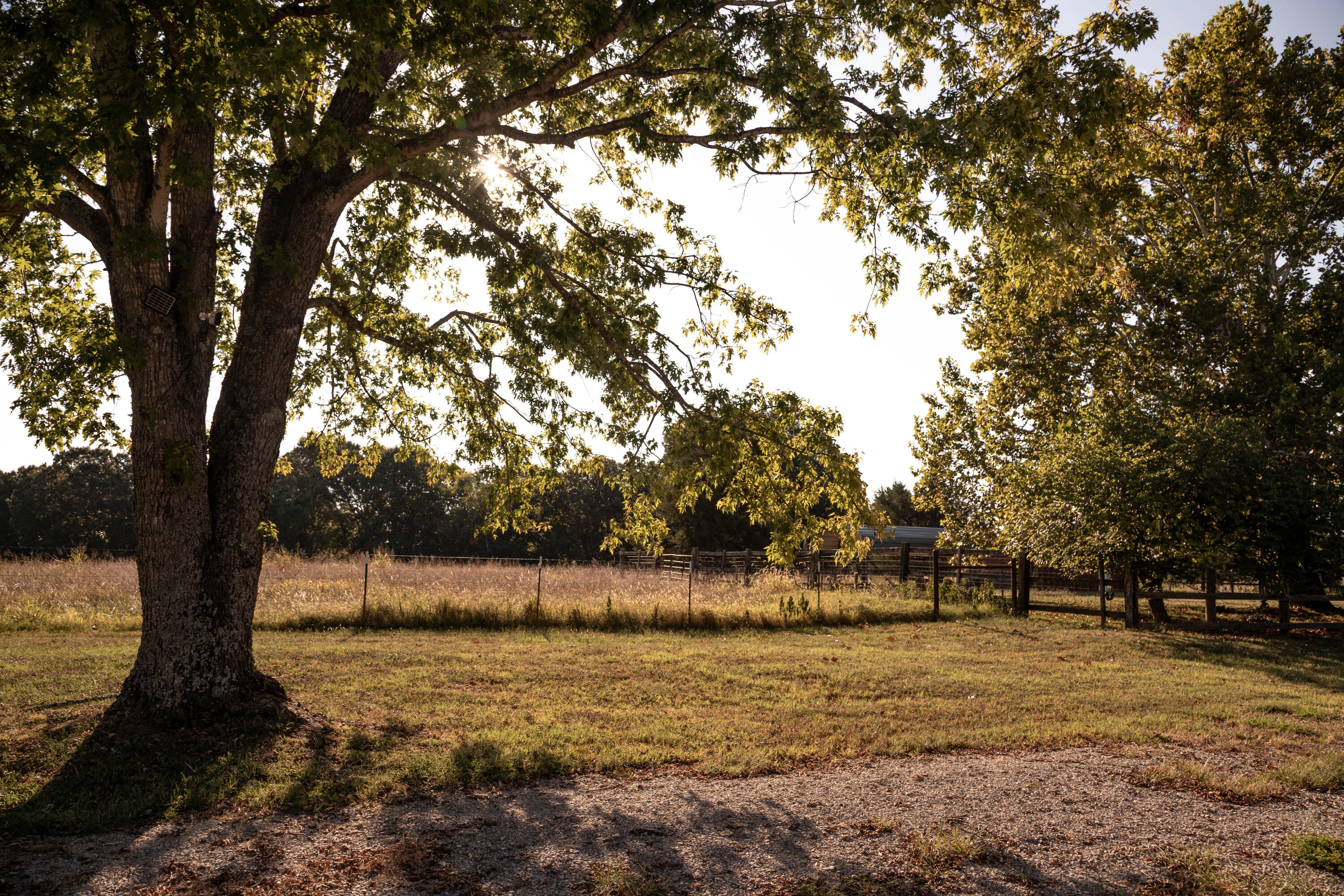 1145 Broadleaf Road Property Photo 55