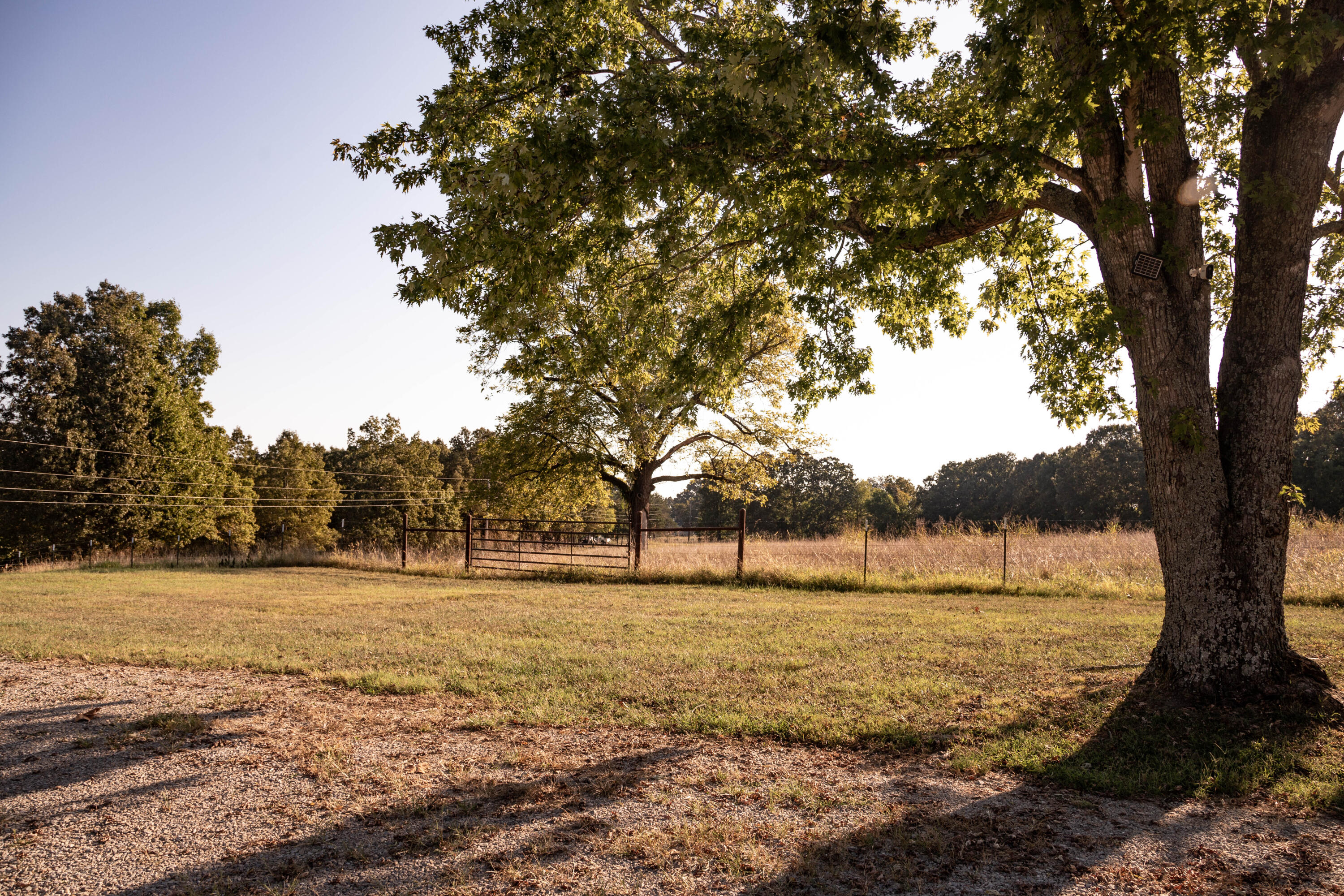 1145 Broadleaf Road Property Photo 56