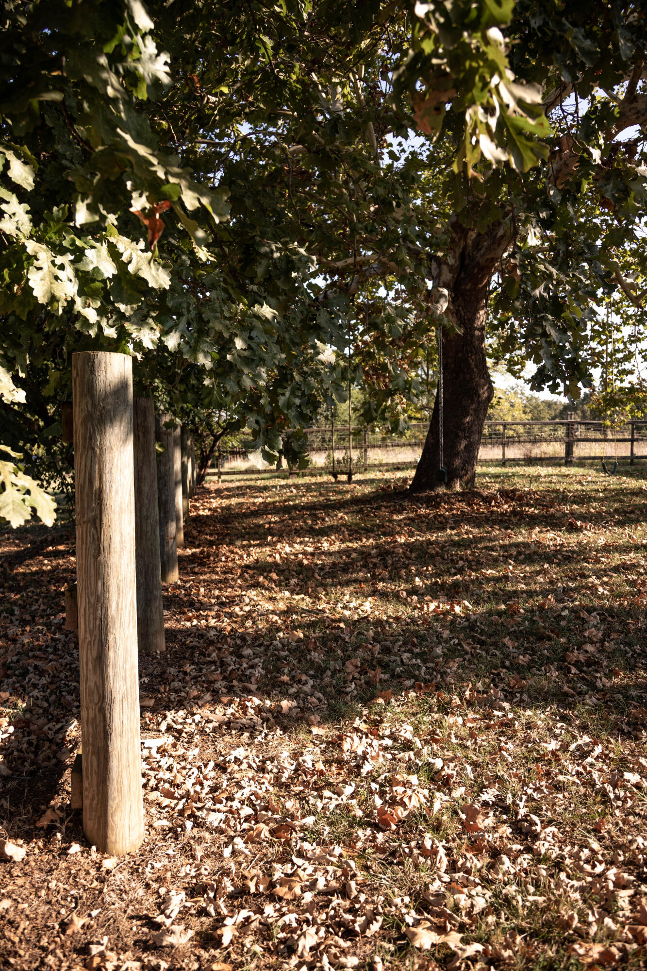1145 Broadleaf Road Property Photo 63