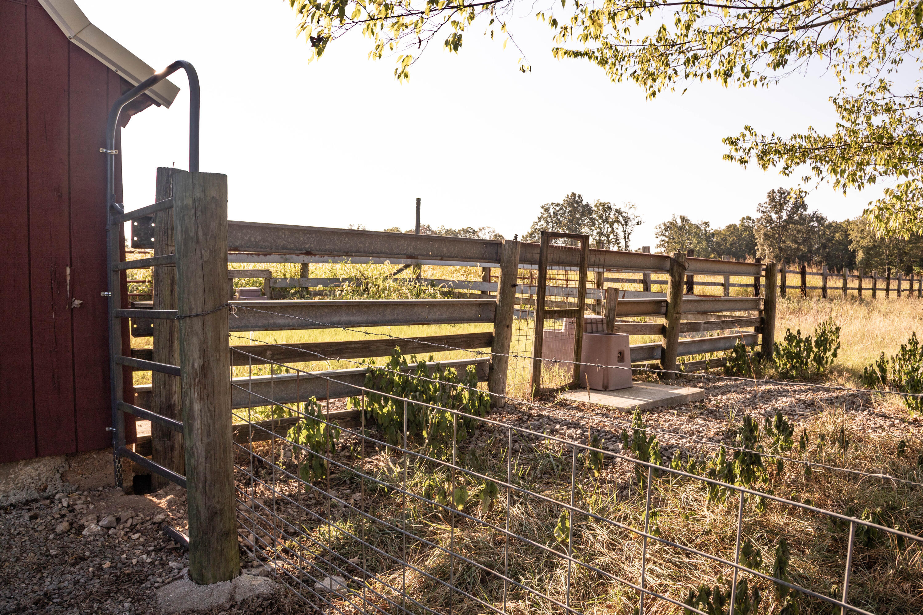 1145 Broadleaf Road Property Photo 64
