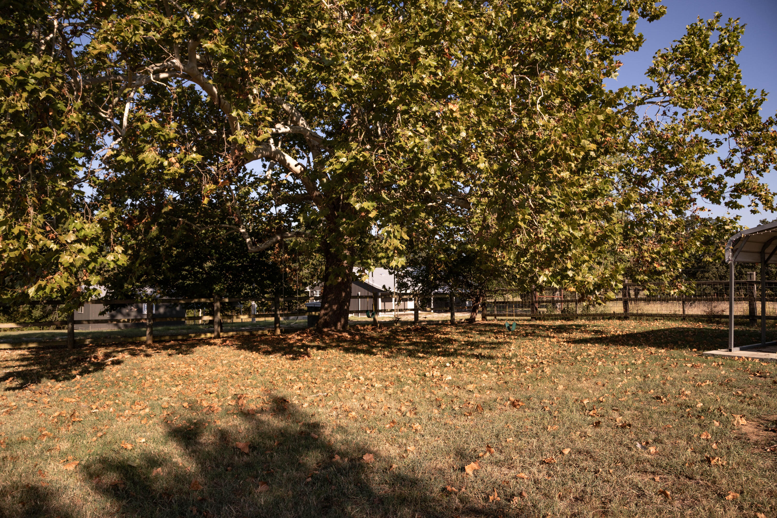 1145 Broadleaf Road Property Photo 68