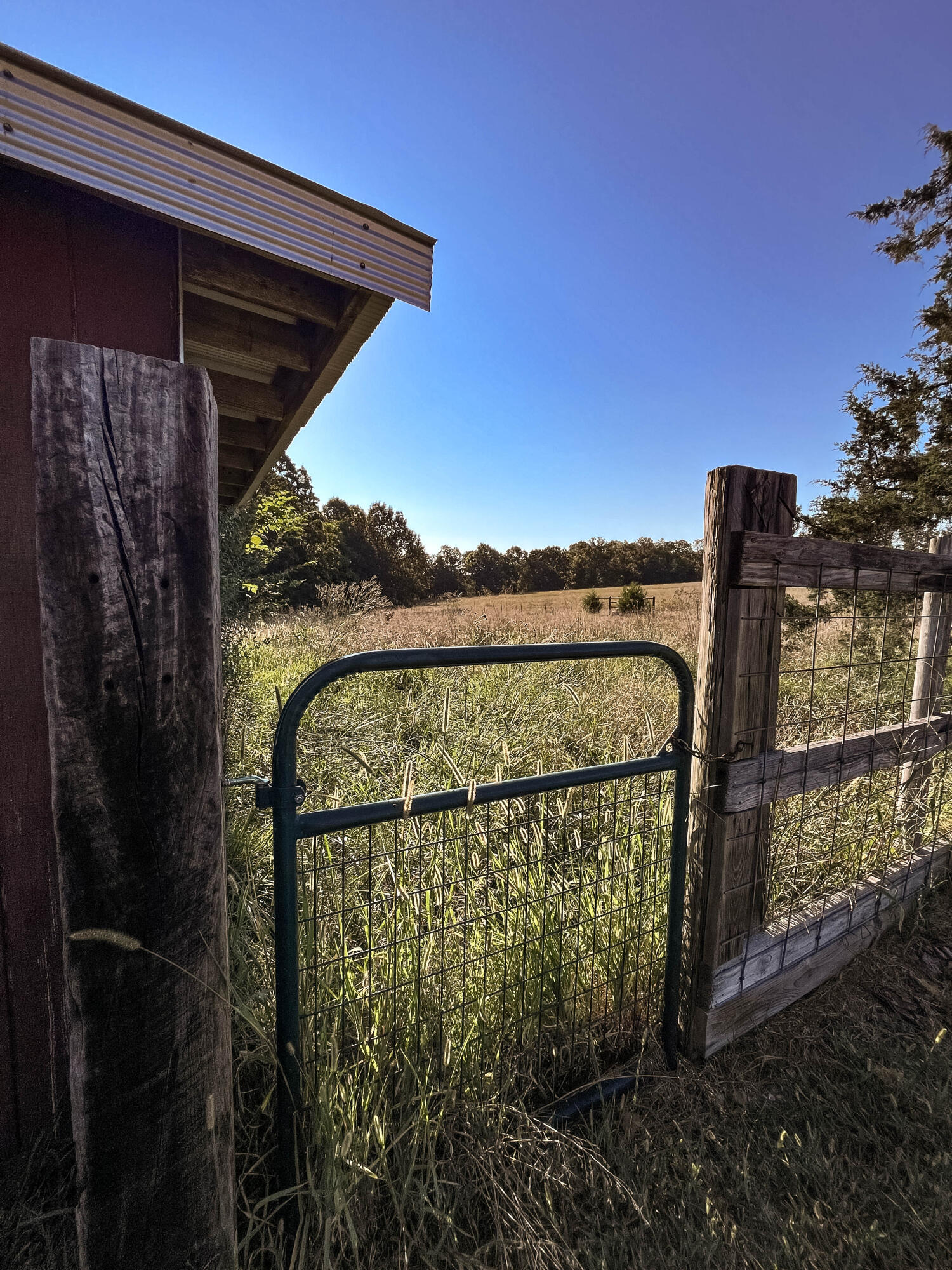 1145 Broadleaf Road Property Photo 79