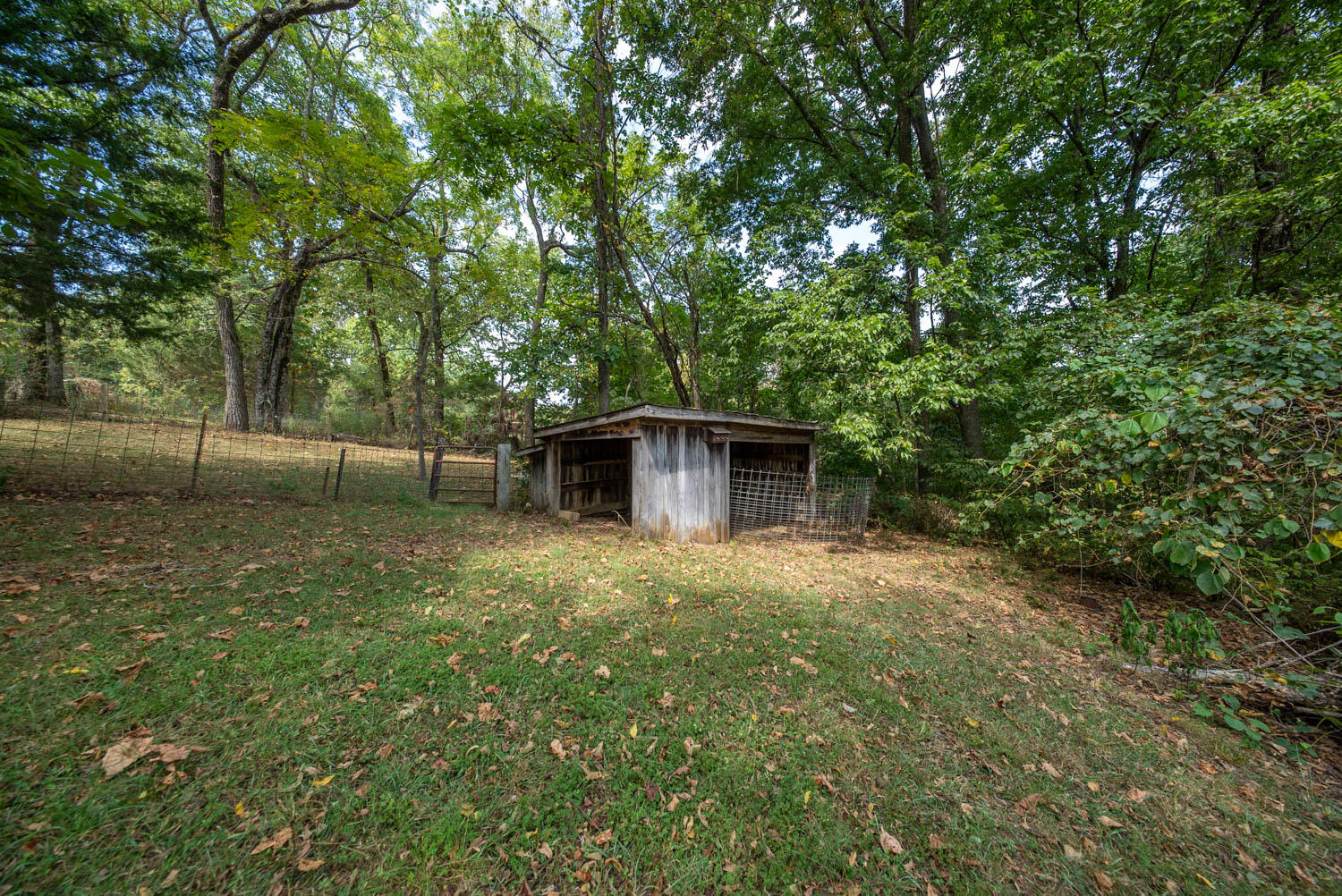 1168 County Road 5710 Property Photo 8