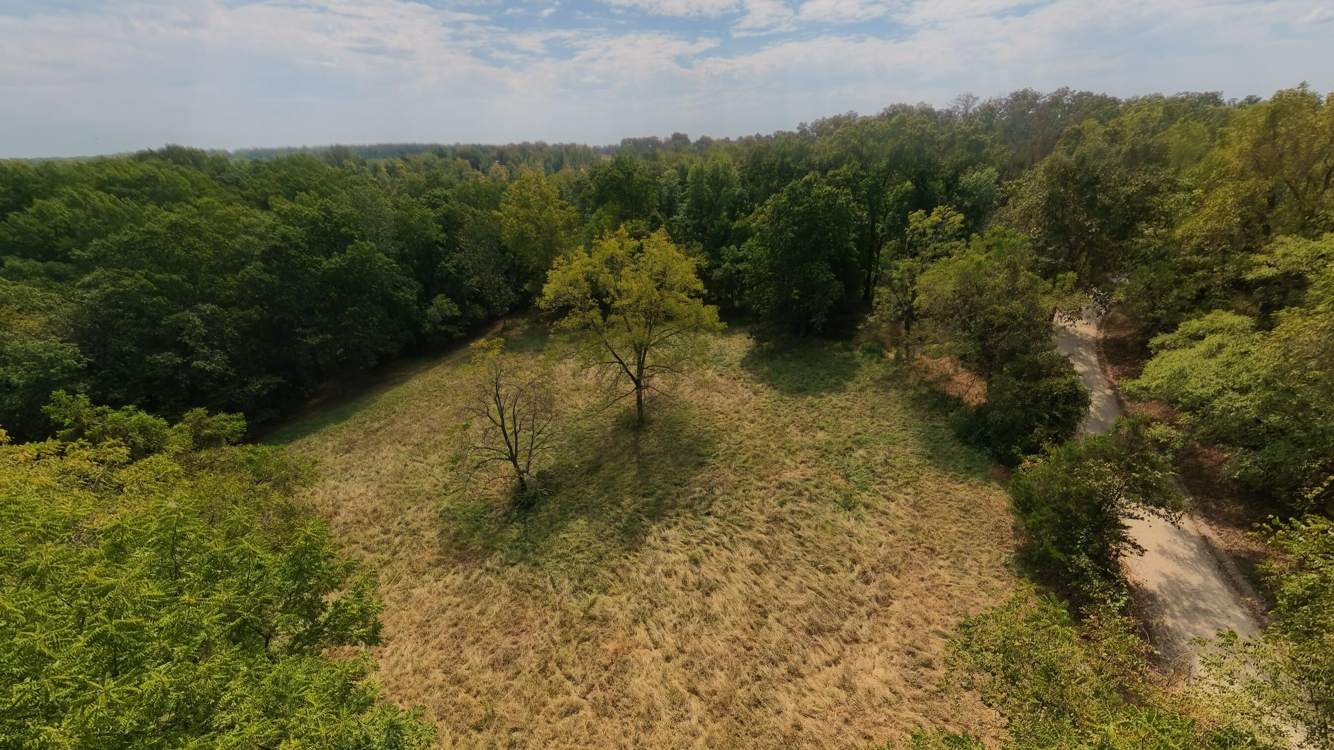 1168 County Road 5710 Property Photo 22