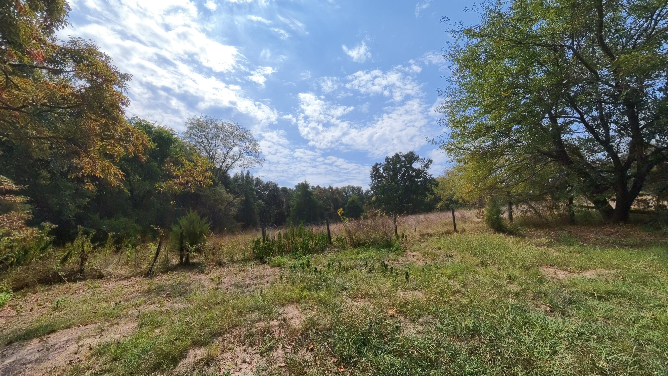 1168 County Road 5710 Property Photo 37