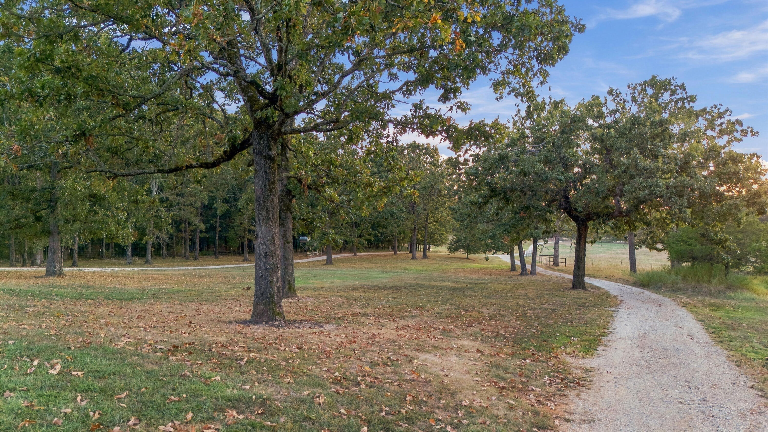 7942 County Road 2770 Property Photo 5